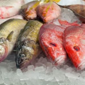 Poissonnerie Les Saveurs De La Mer Horaire Douverture - 