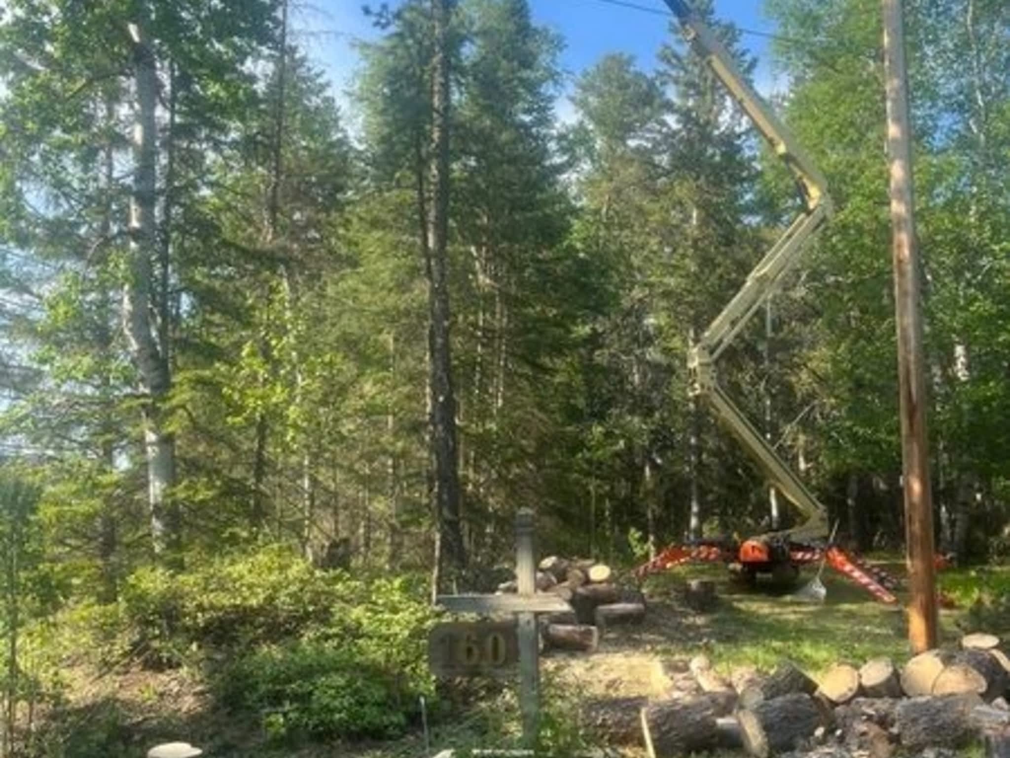 photo Master Tree Service