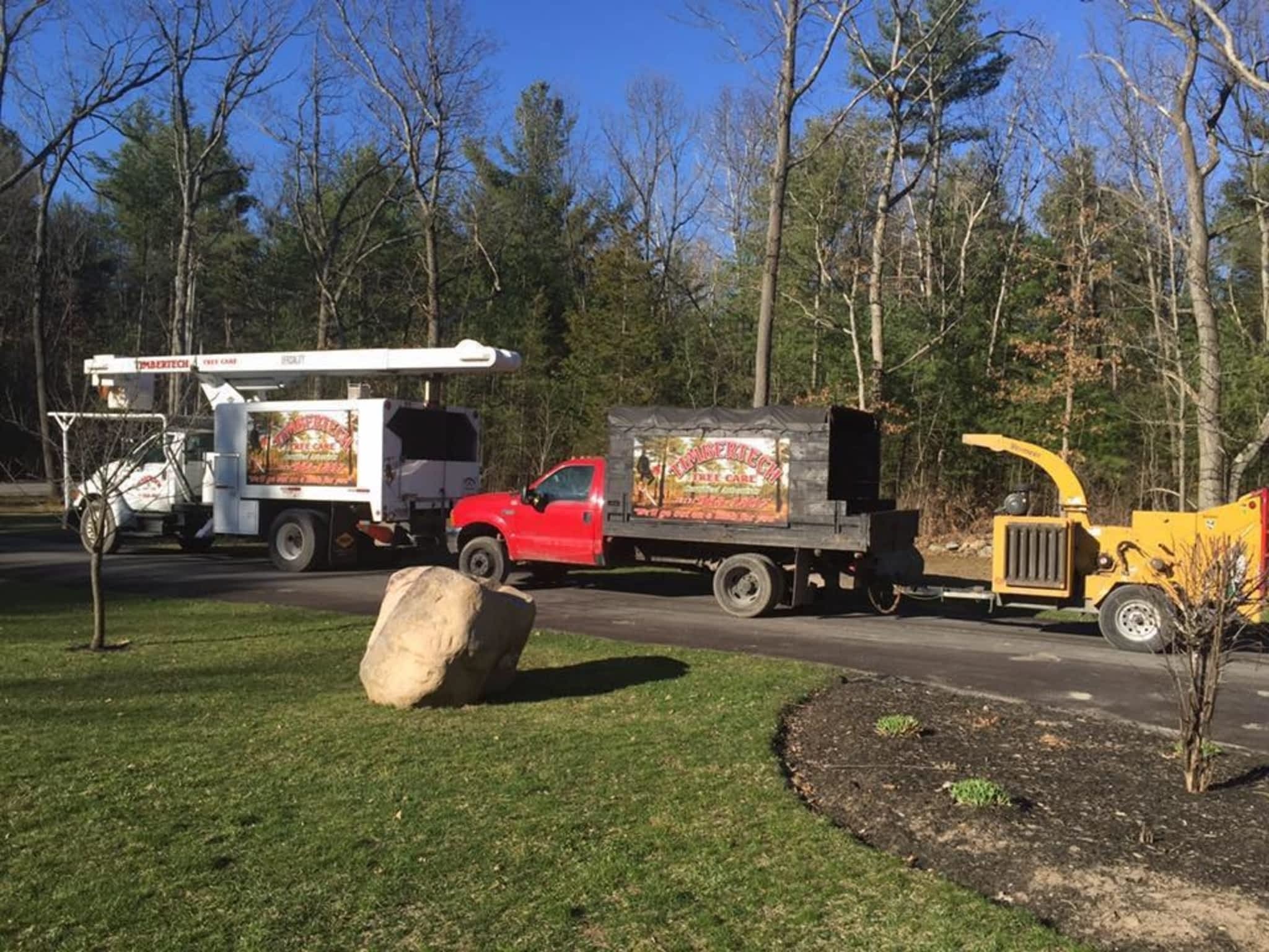 photo Timbertech Tree Care