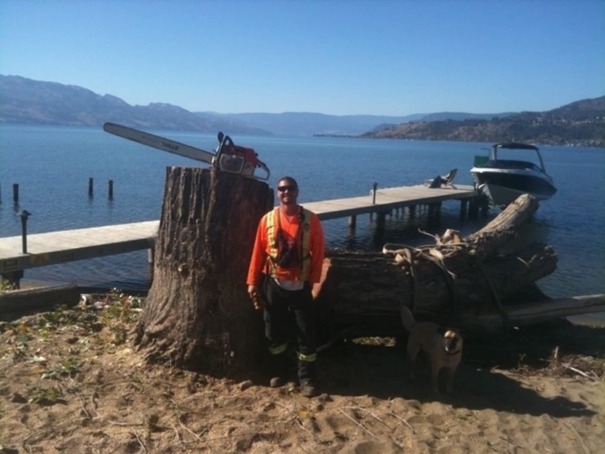 photo Action Tree Service