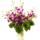 Brant Florist - Florists & Flower Shops