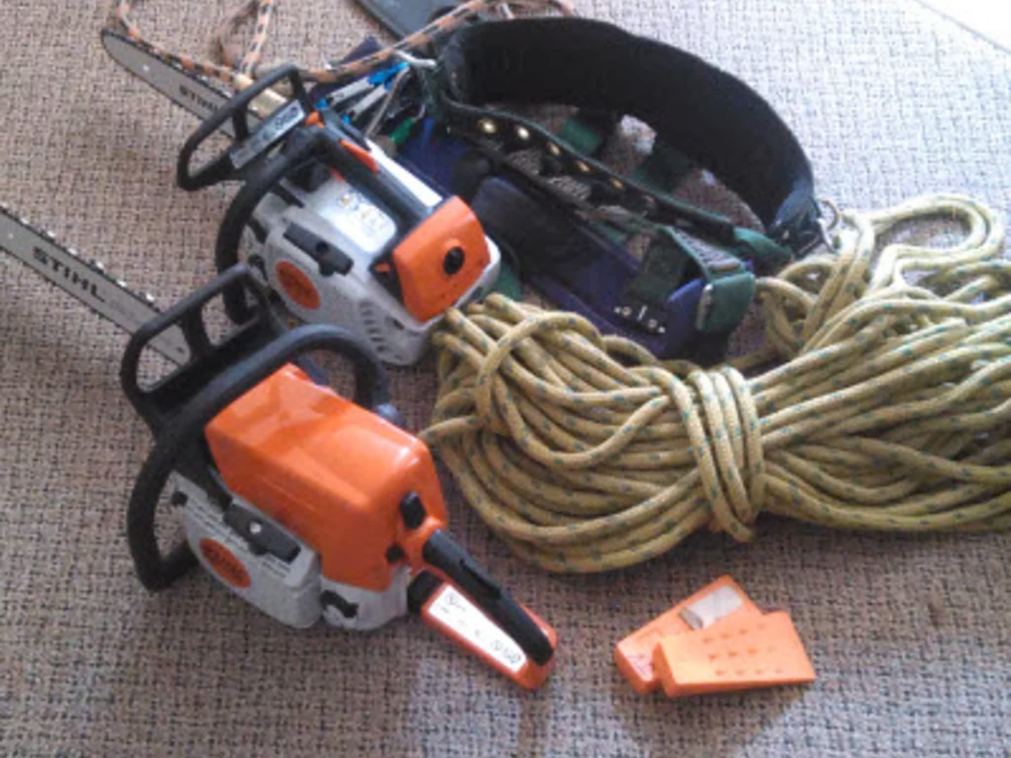 photo Jared's Tree Care