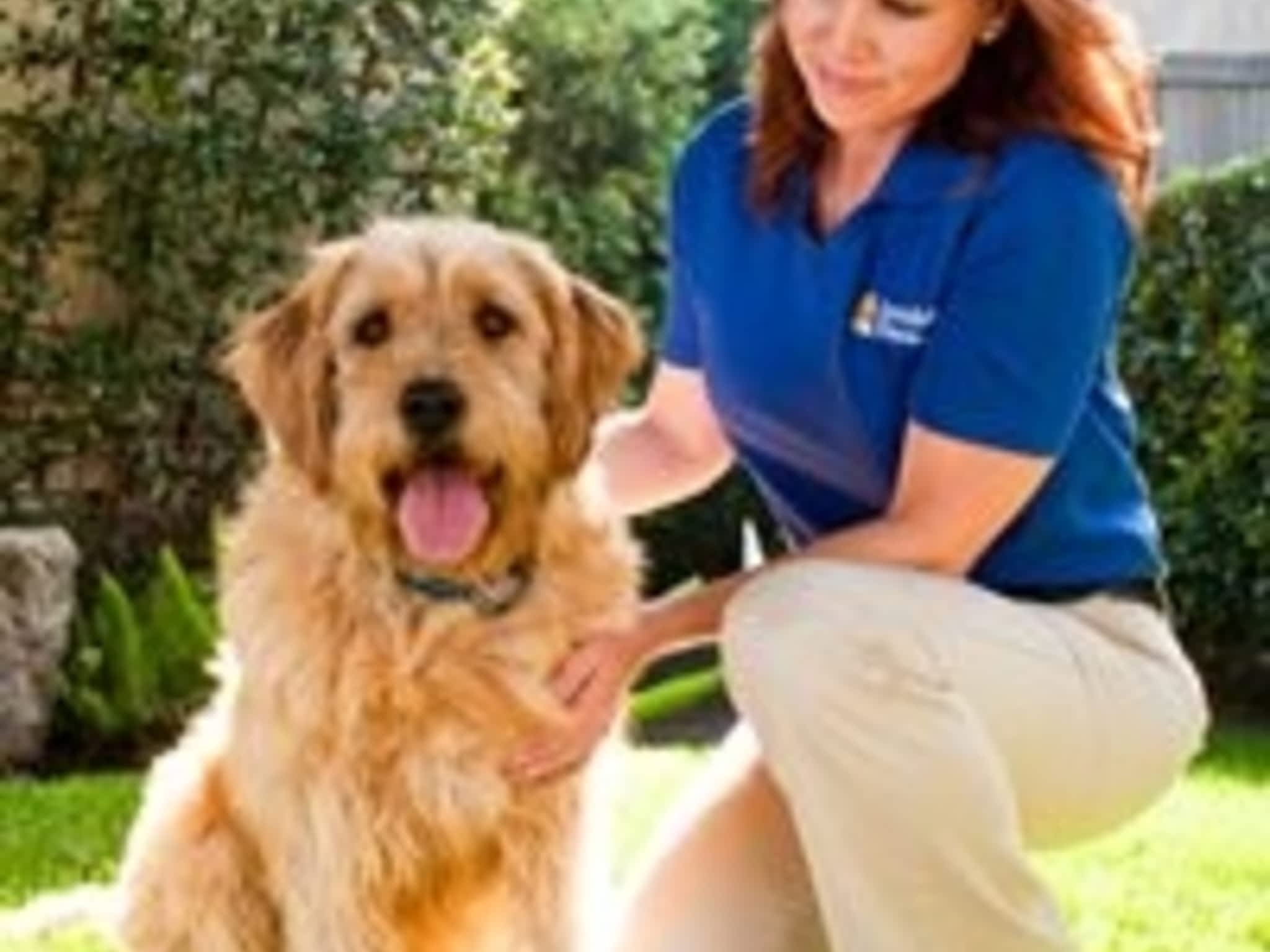 Invisible Fence Brand Woodstock, ON 485023 Sweaburg Rd Canpages