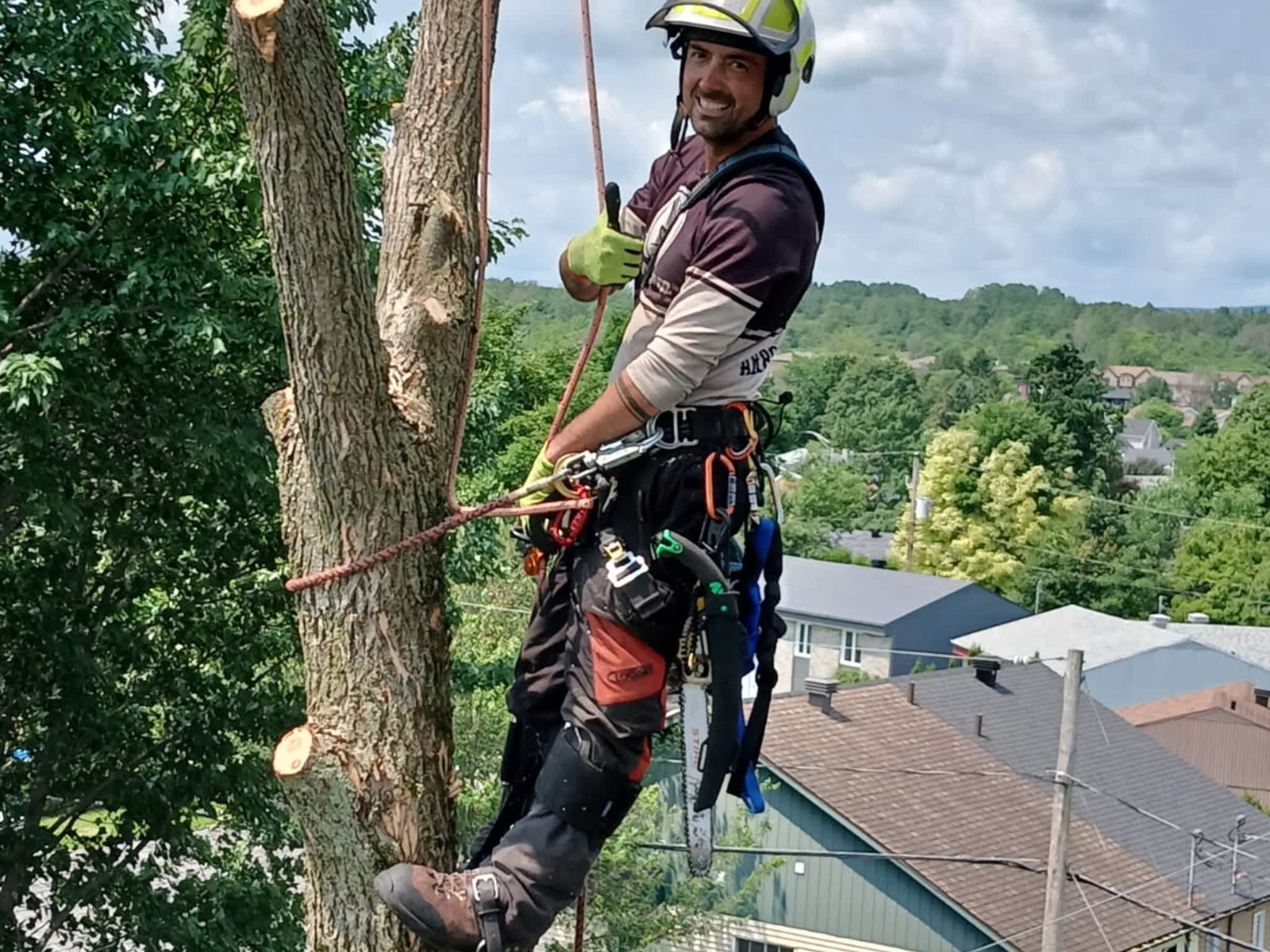 photo Arboriculture DB Inc.