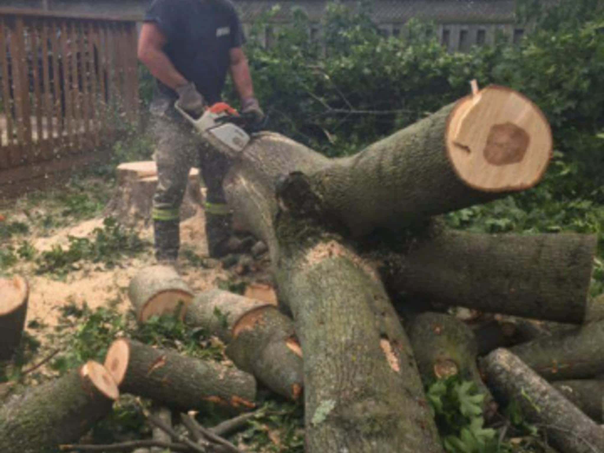 photo Stark's Tree Service