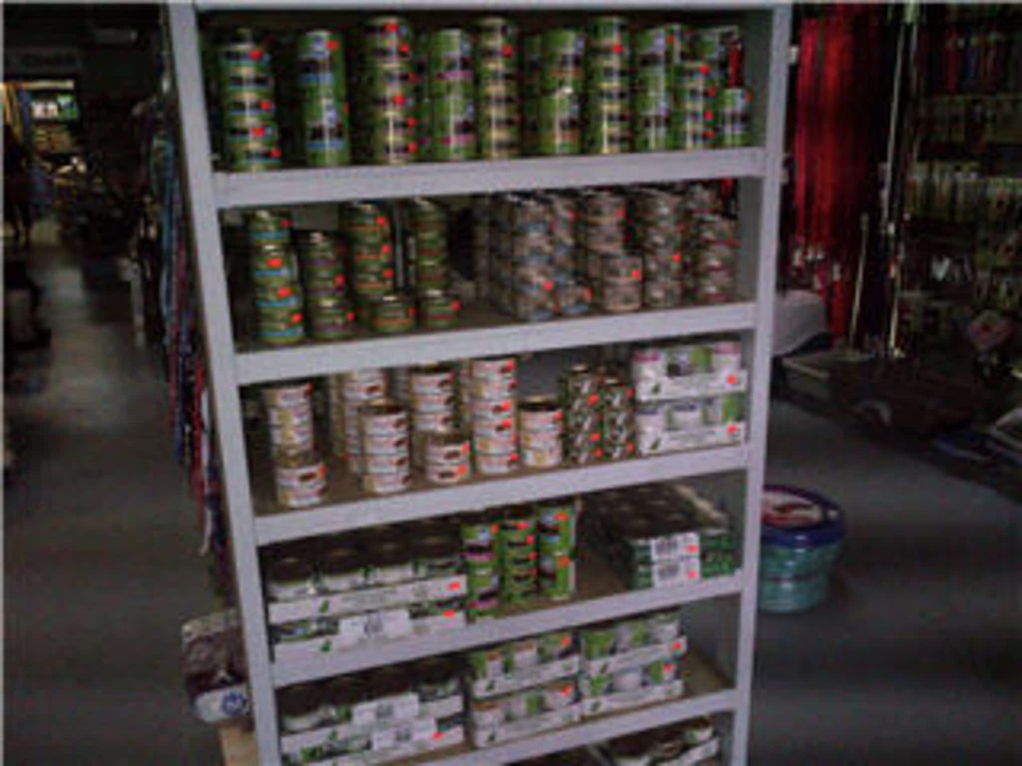 photo Animal Essentials