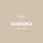 Muskoka Audio Video - Television Sales & Services
