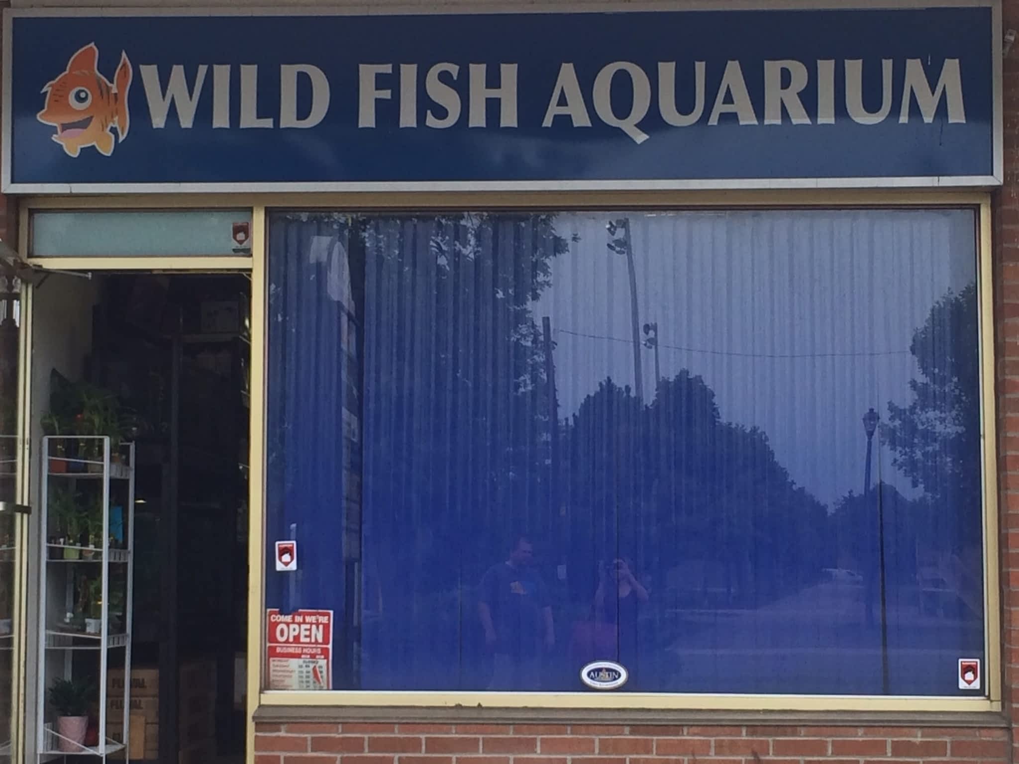 photo Wild Fish Aquarium