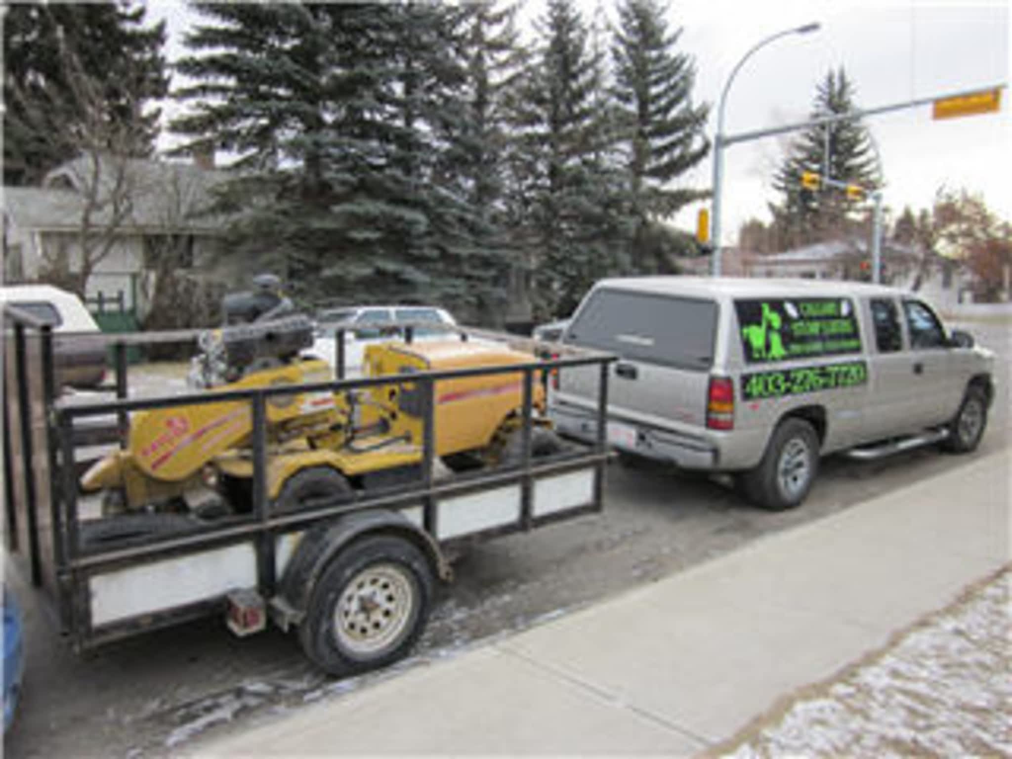 photo Forest Stump Tree Service