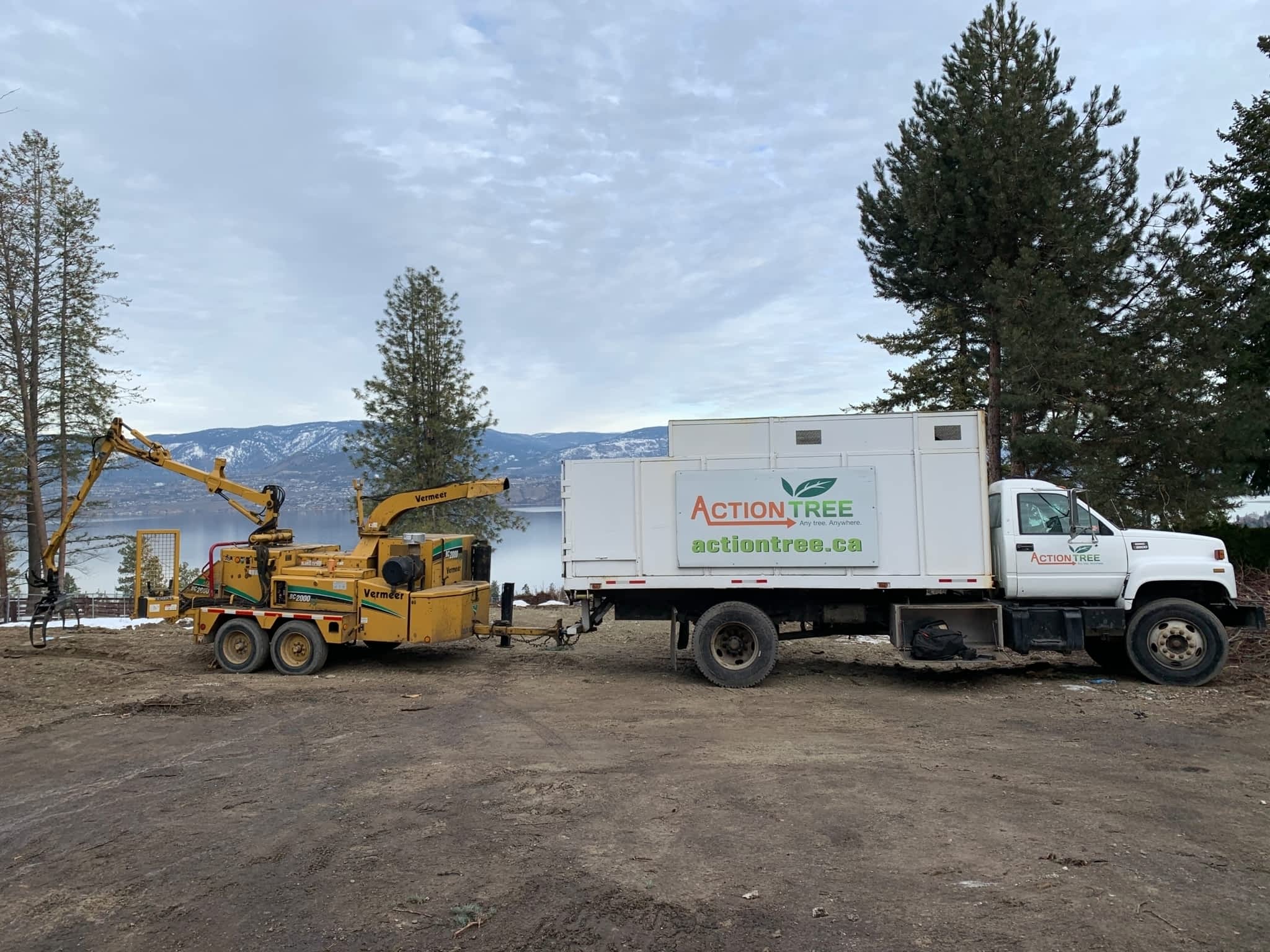 photo Action Tree Service