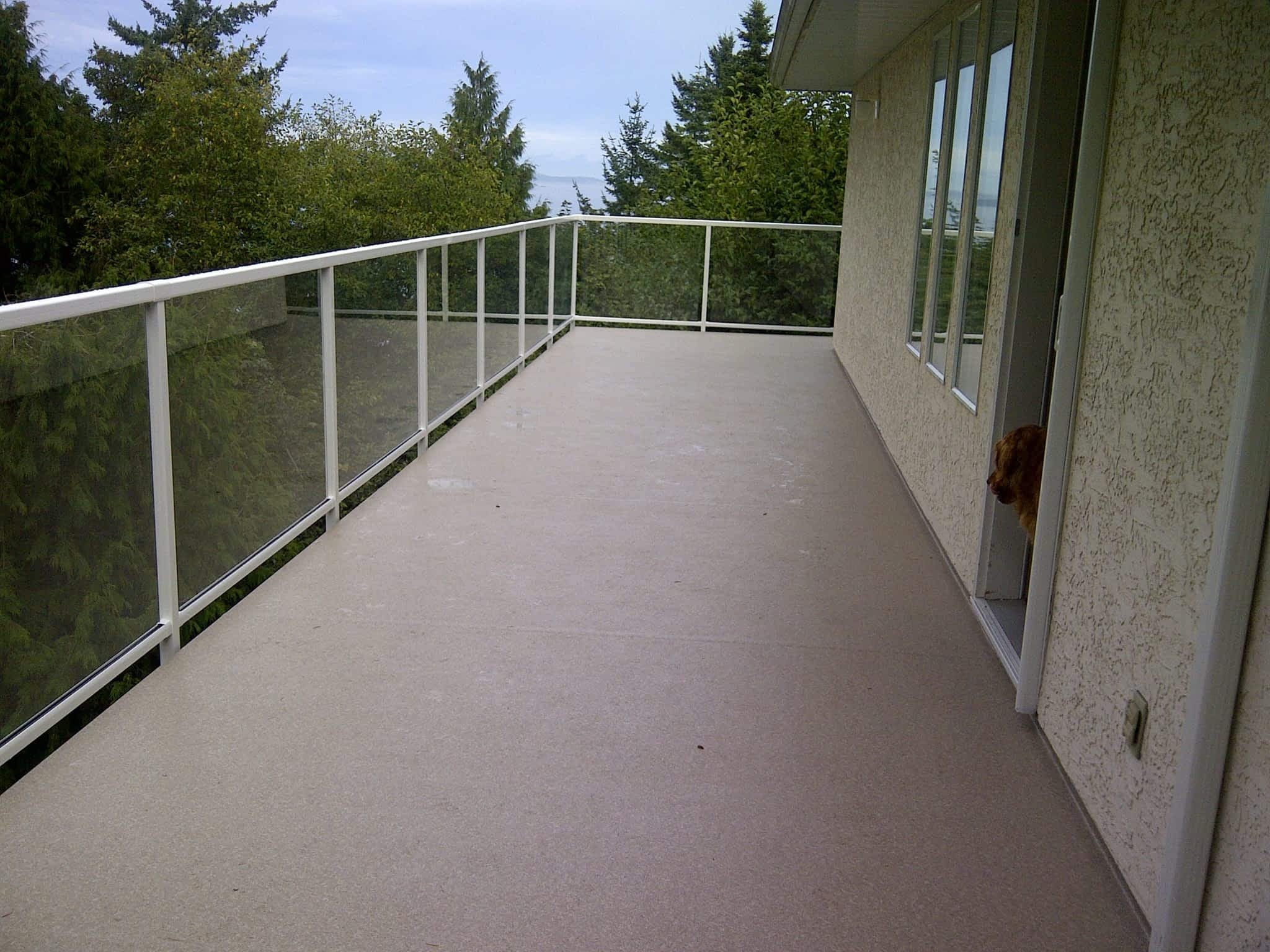 photo Ace Vinyl Deck