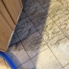 Go Green Carpet Cleaning - Carpet & Rug Cleaning