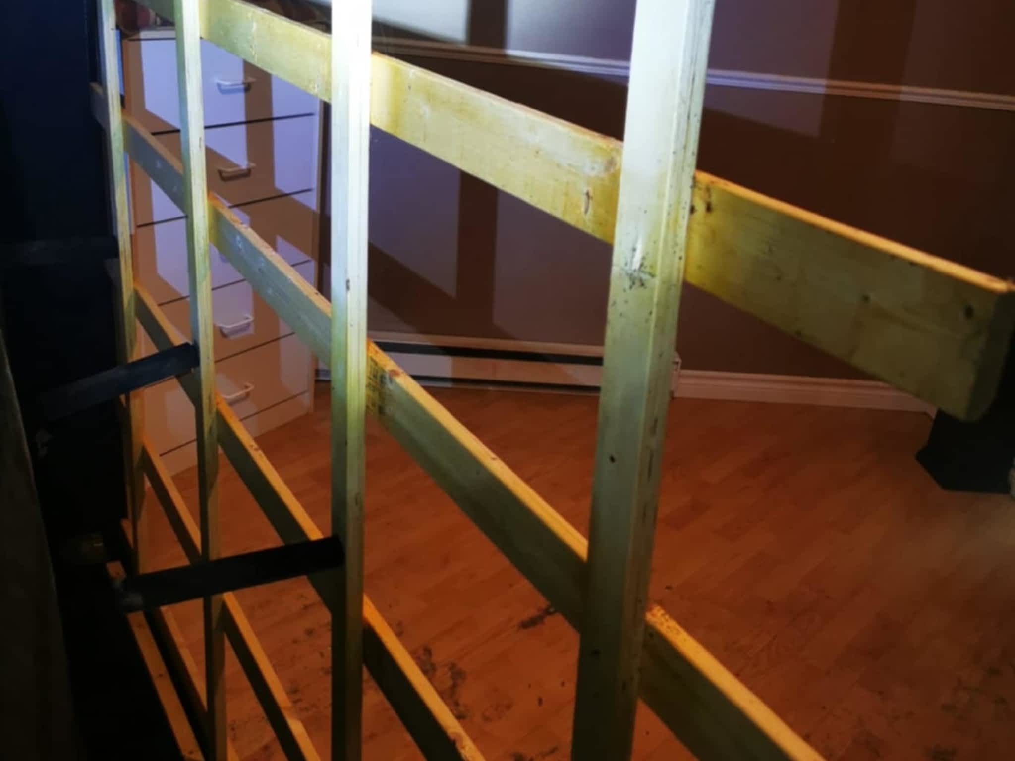 photo D Solution Extermination