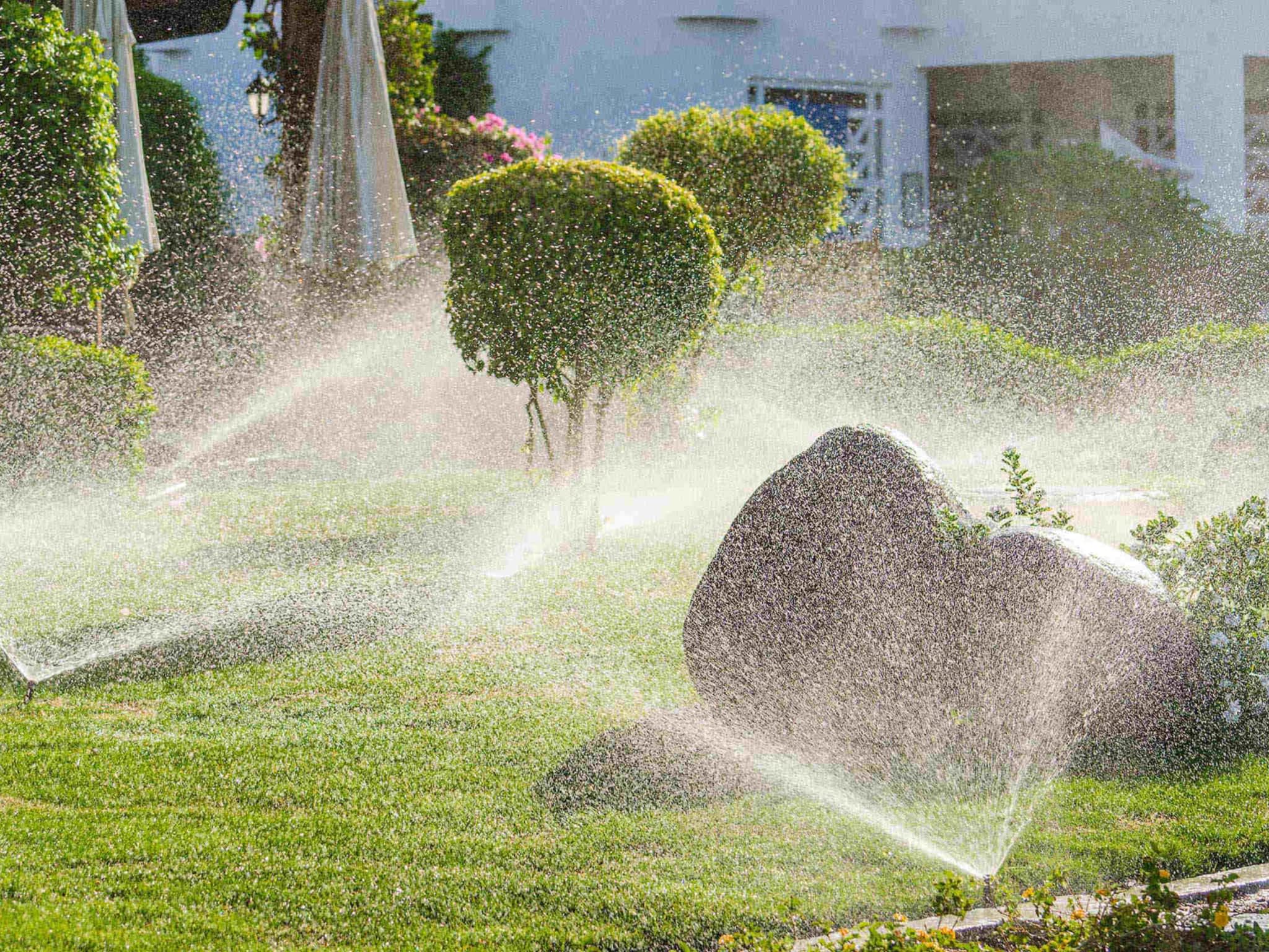 photo Platinum Landscaping