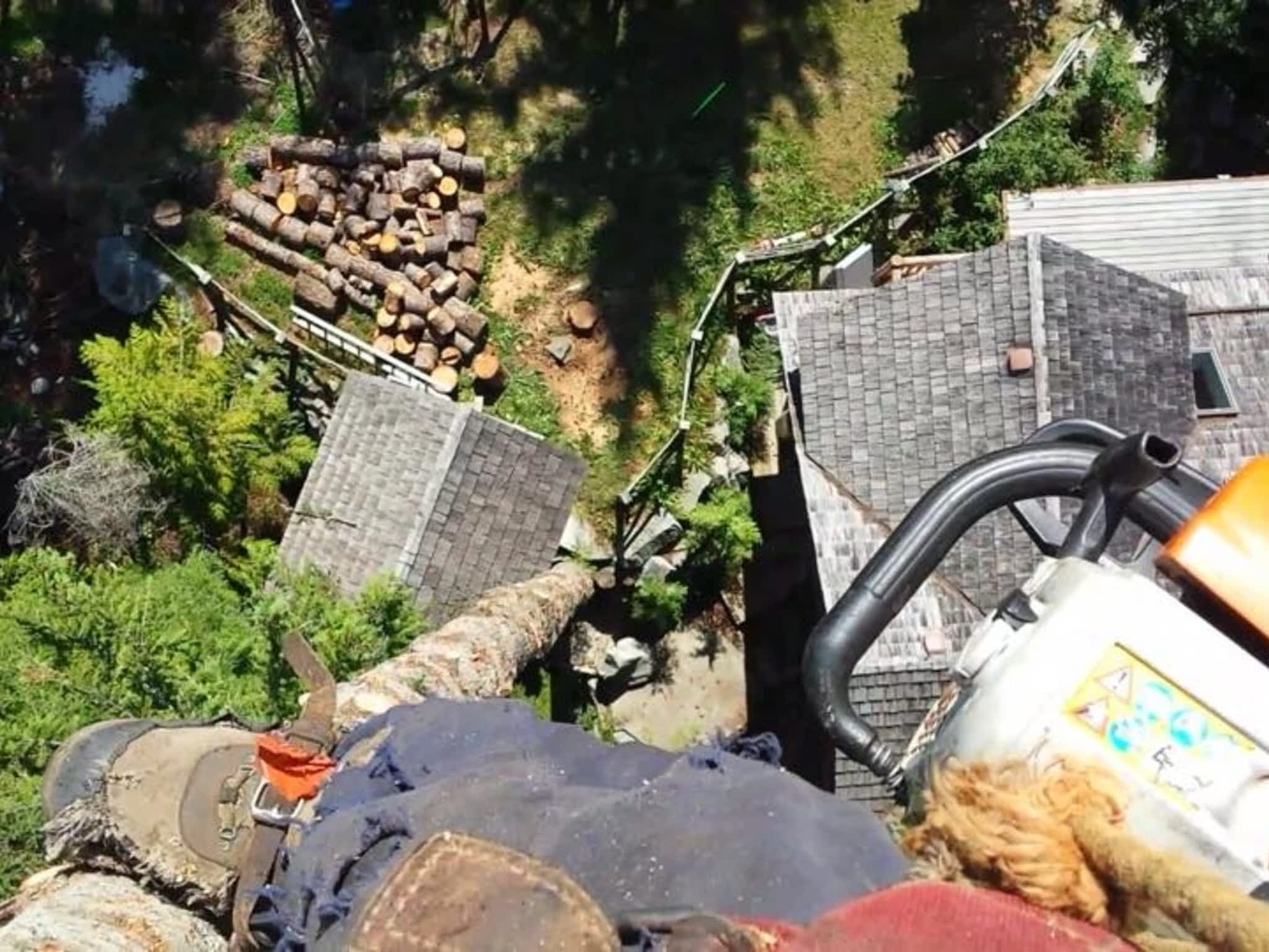 photo Windfirm Tree Services