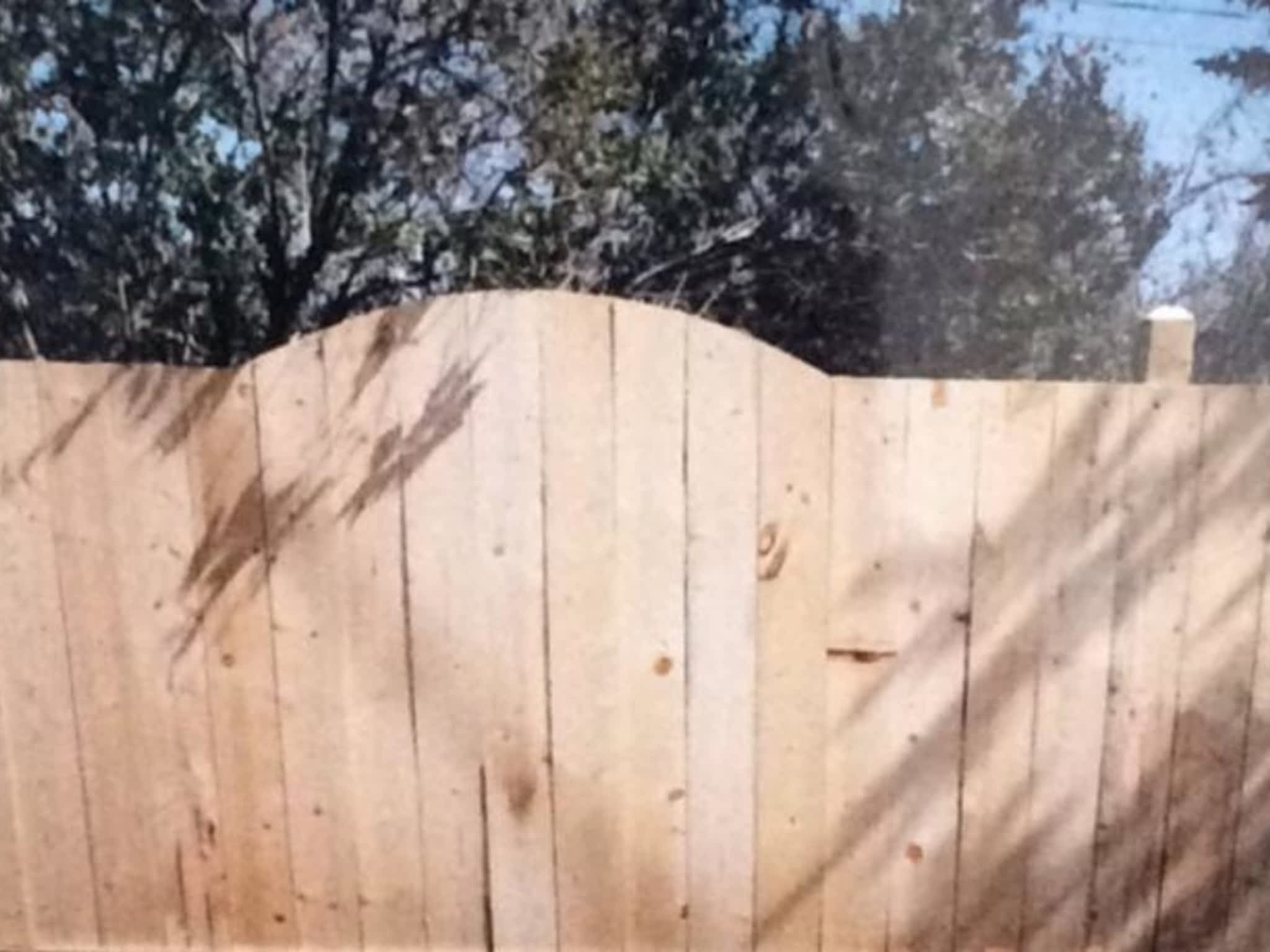 photo Bob's Carpentry