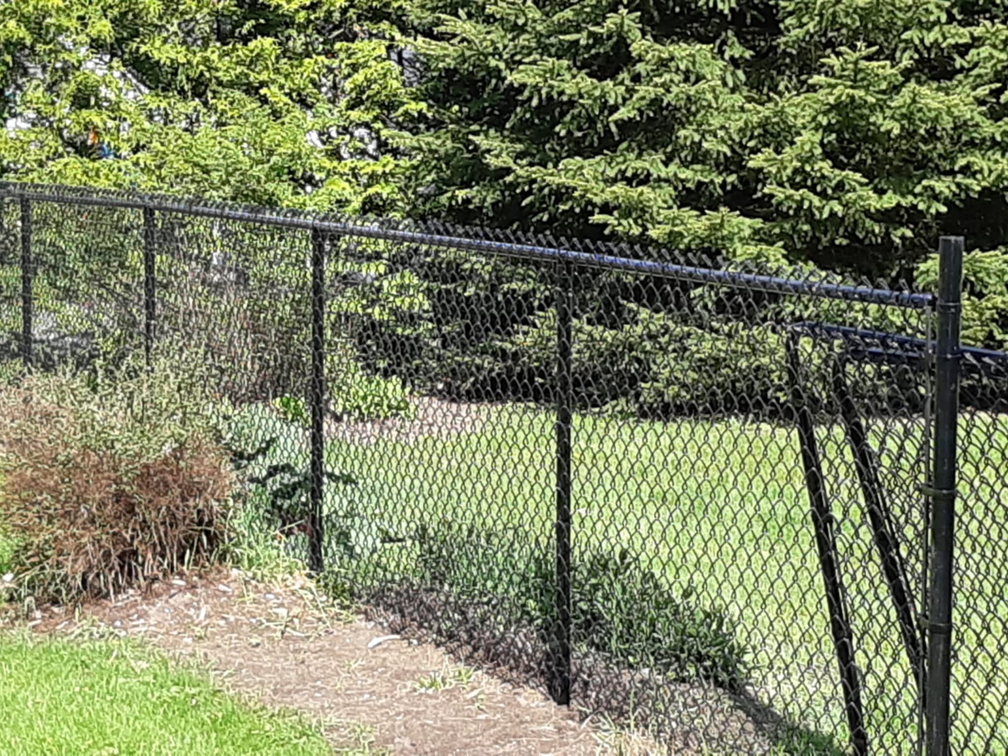 photo Backyard Fencing