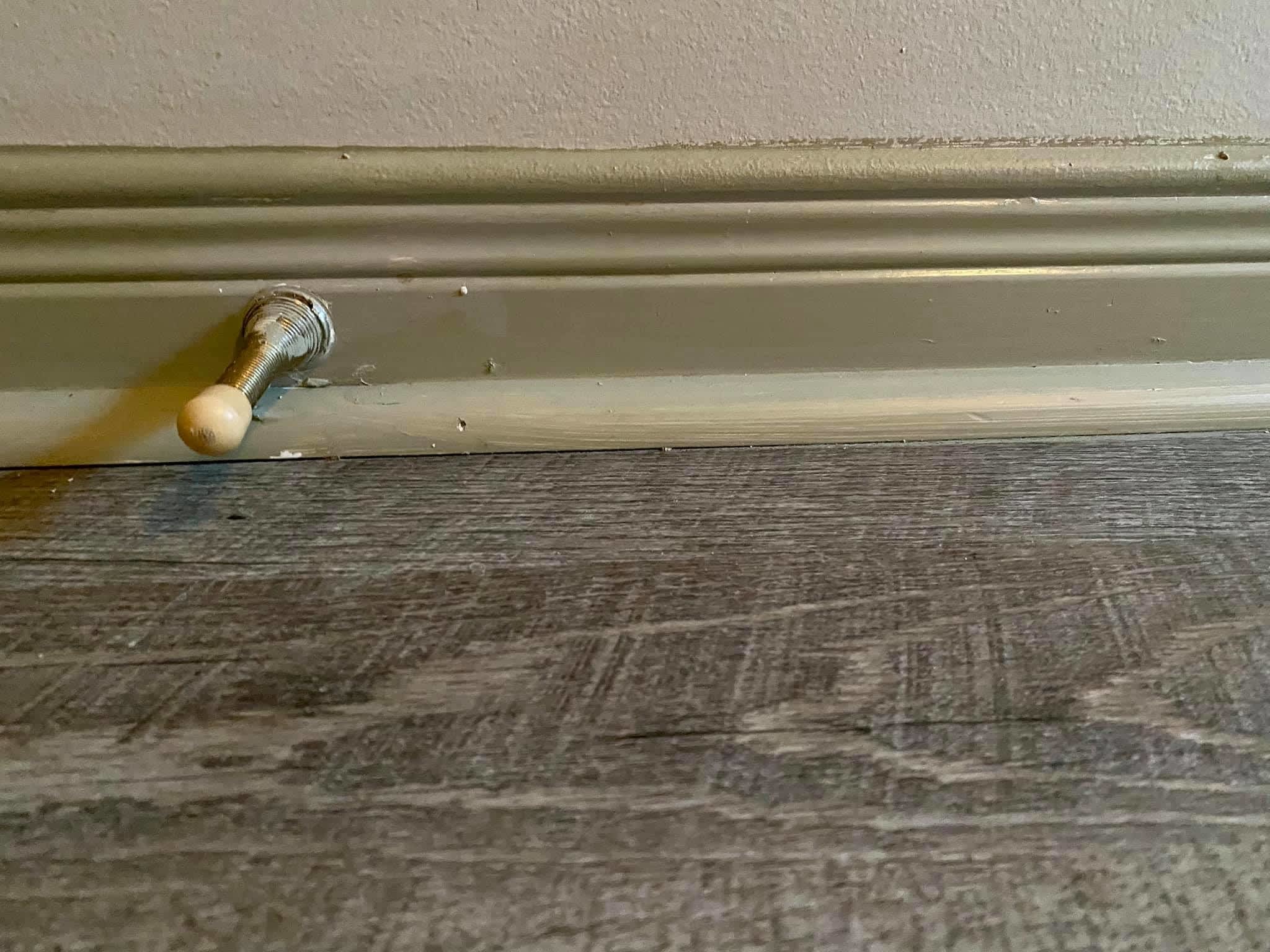 photo Sunset Cleaning