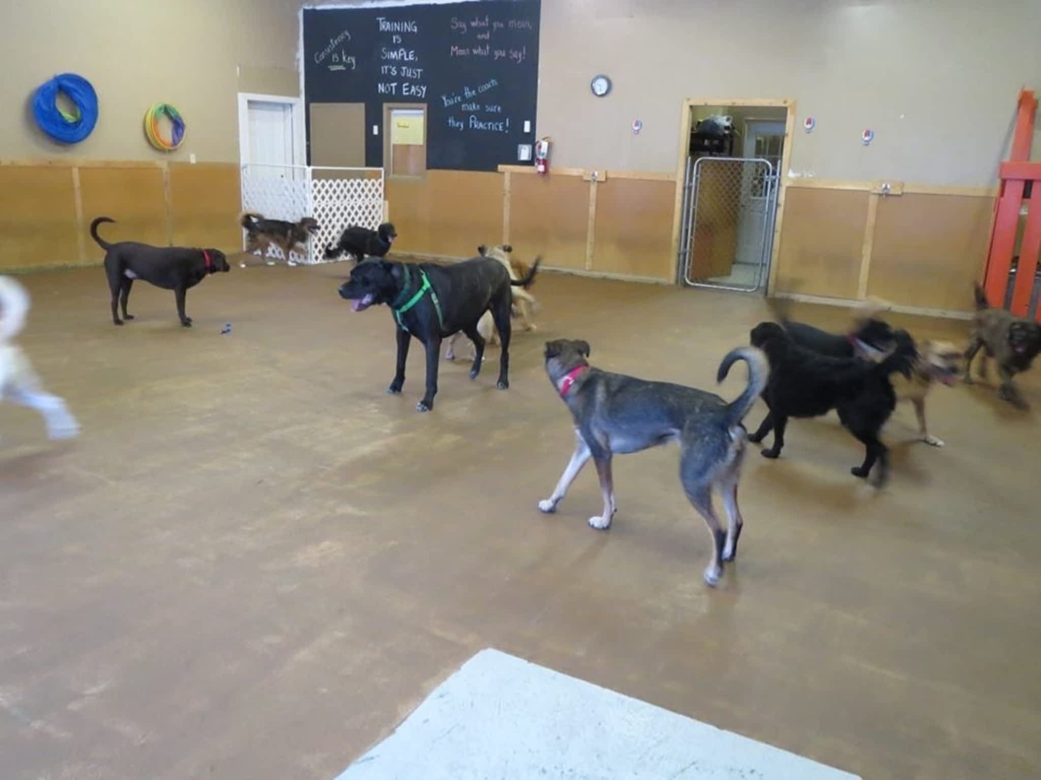 photo Canada's Canine Academy