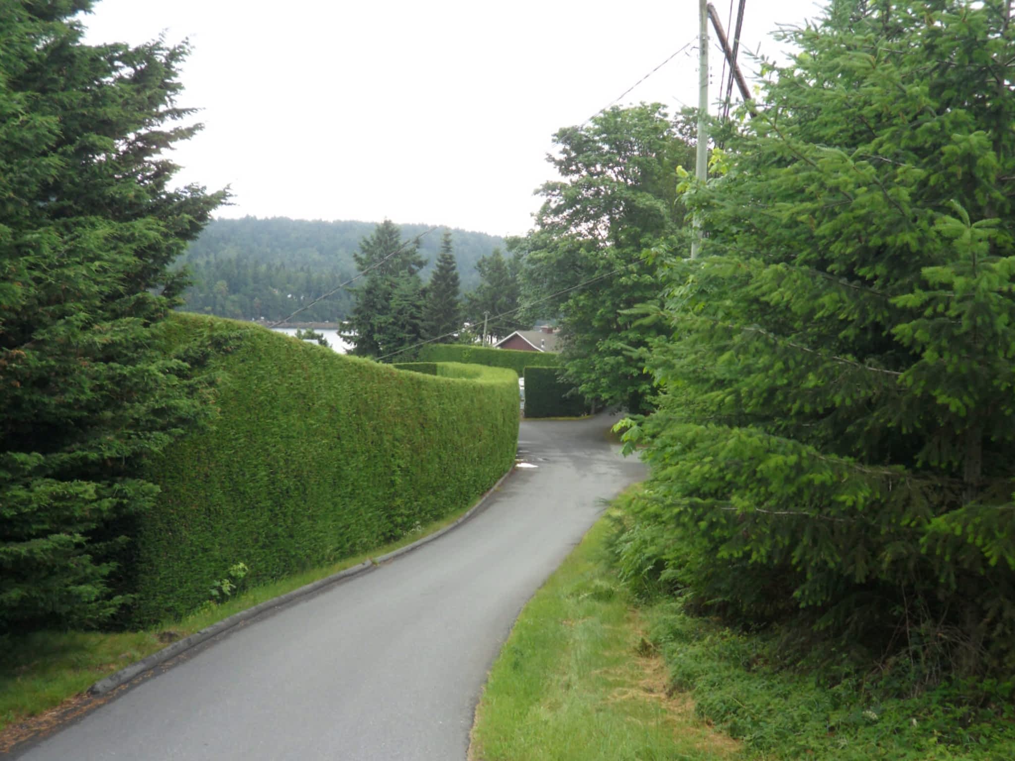 photo High Line Environmental