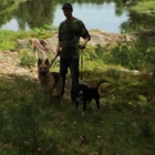 Phil Walks-A-Lot Pet Care - Garderie d'animaux de compagnie