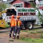 ATF Tree Service - Service d'entretien d'arbres