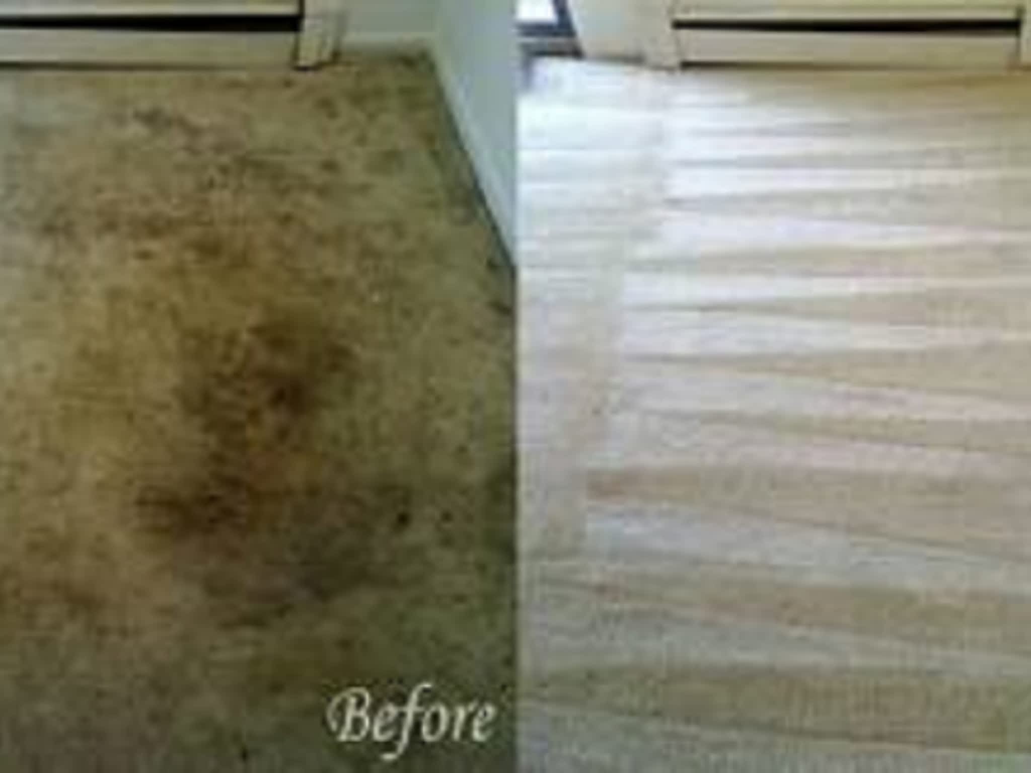 photo Factory Carpet Cleaning