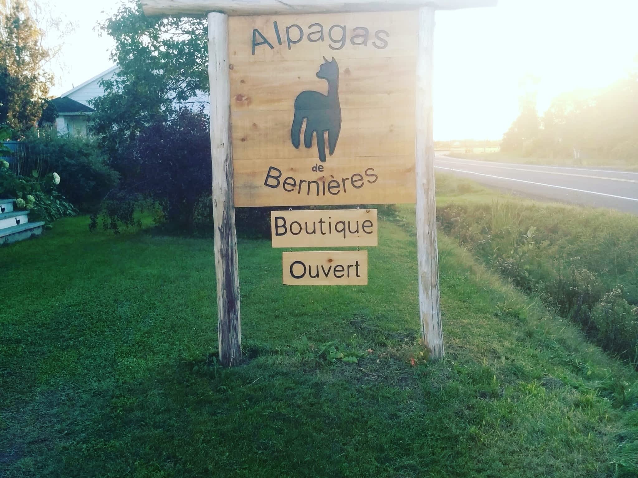 photo Alpagas de Bernières