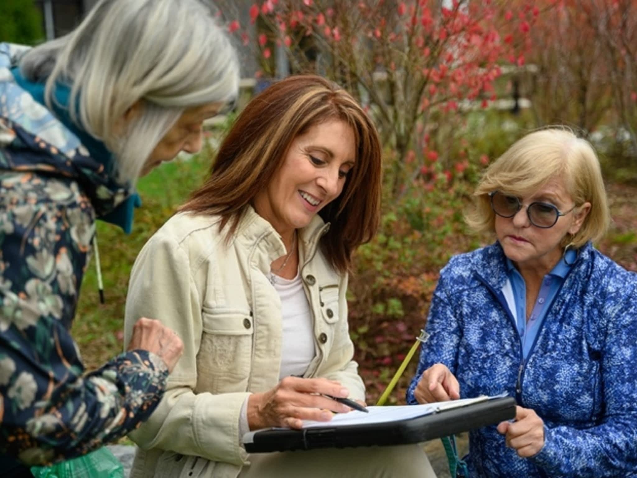 photo Harmonia -Design