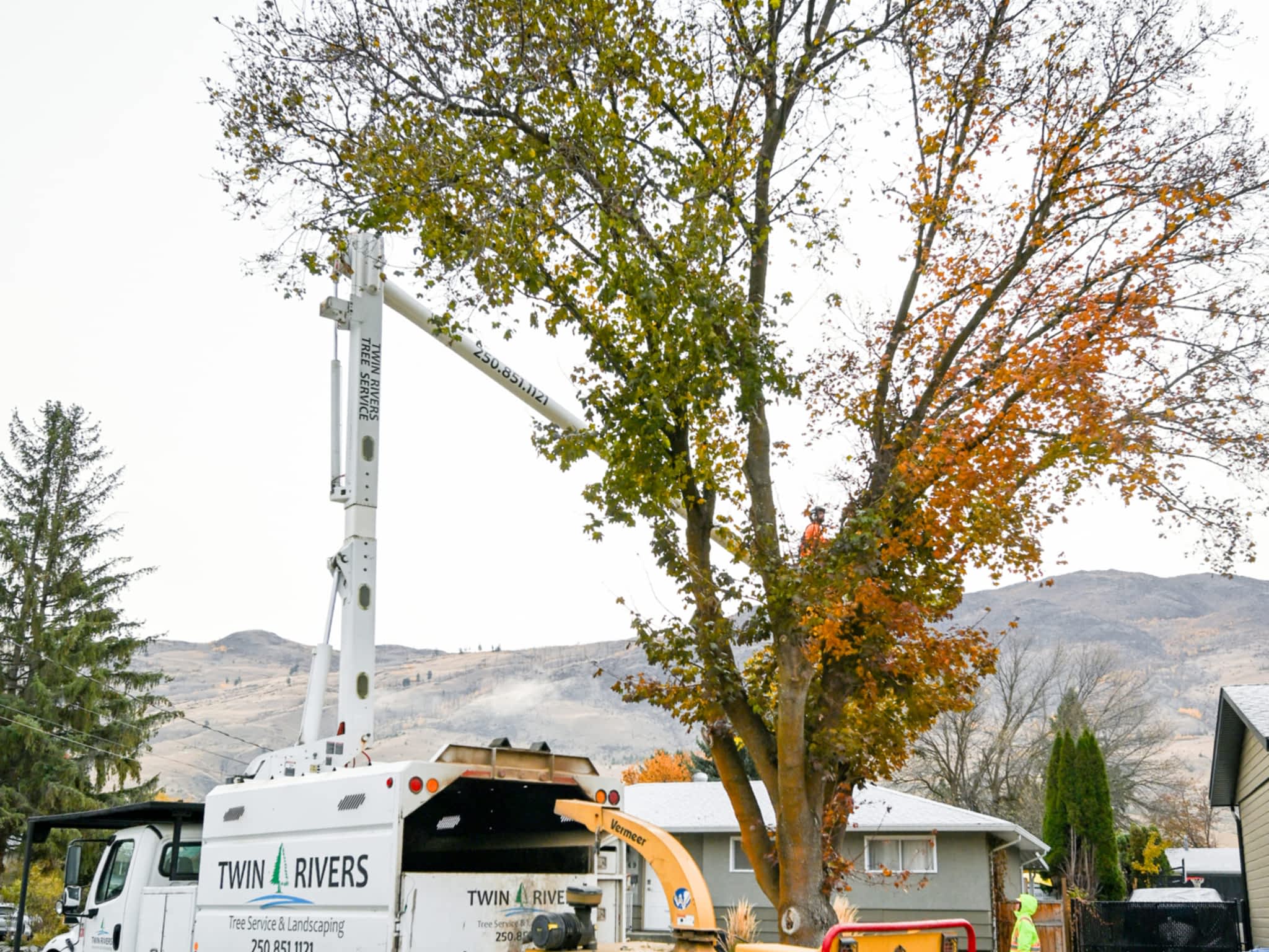 photo Twin Rivers Tree Service and Landscaping - Frase r Valley