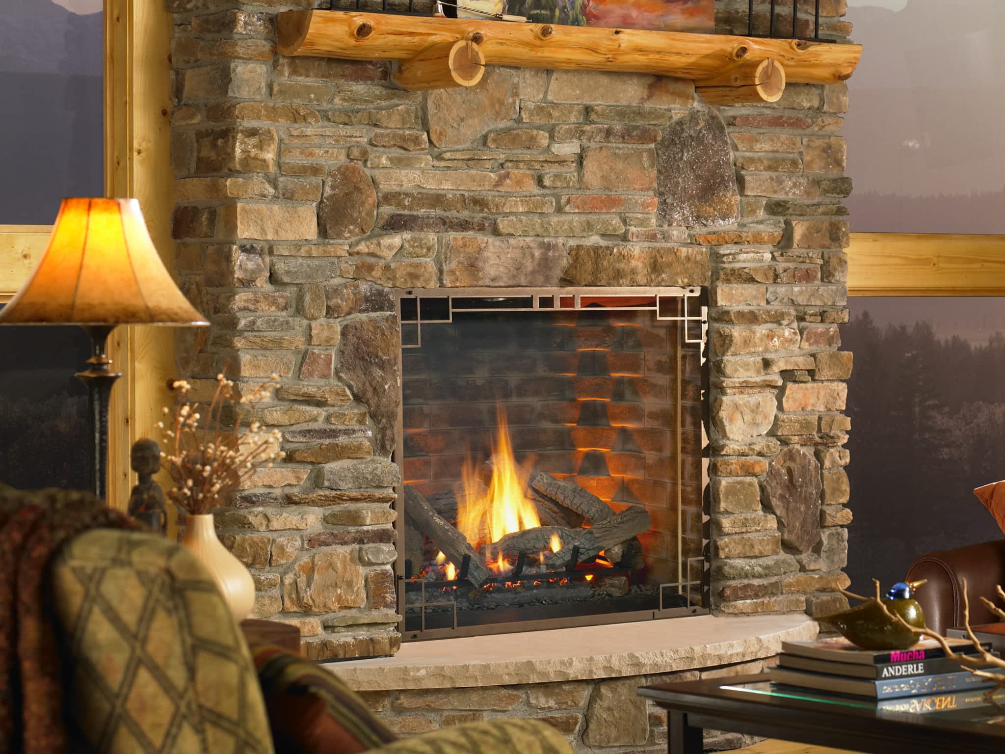 photo Gas Fireplace Doctor