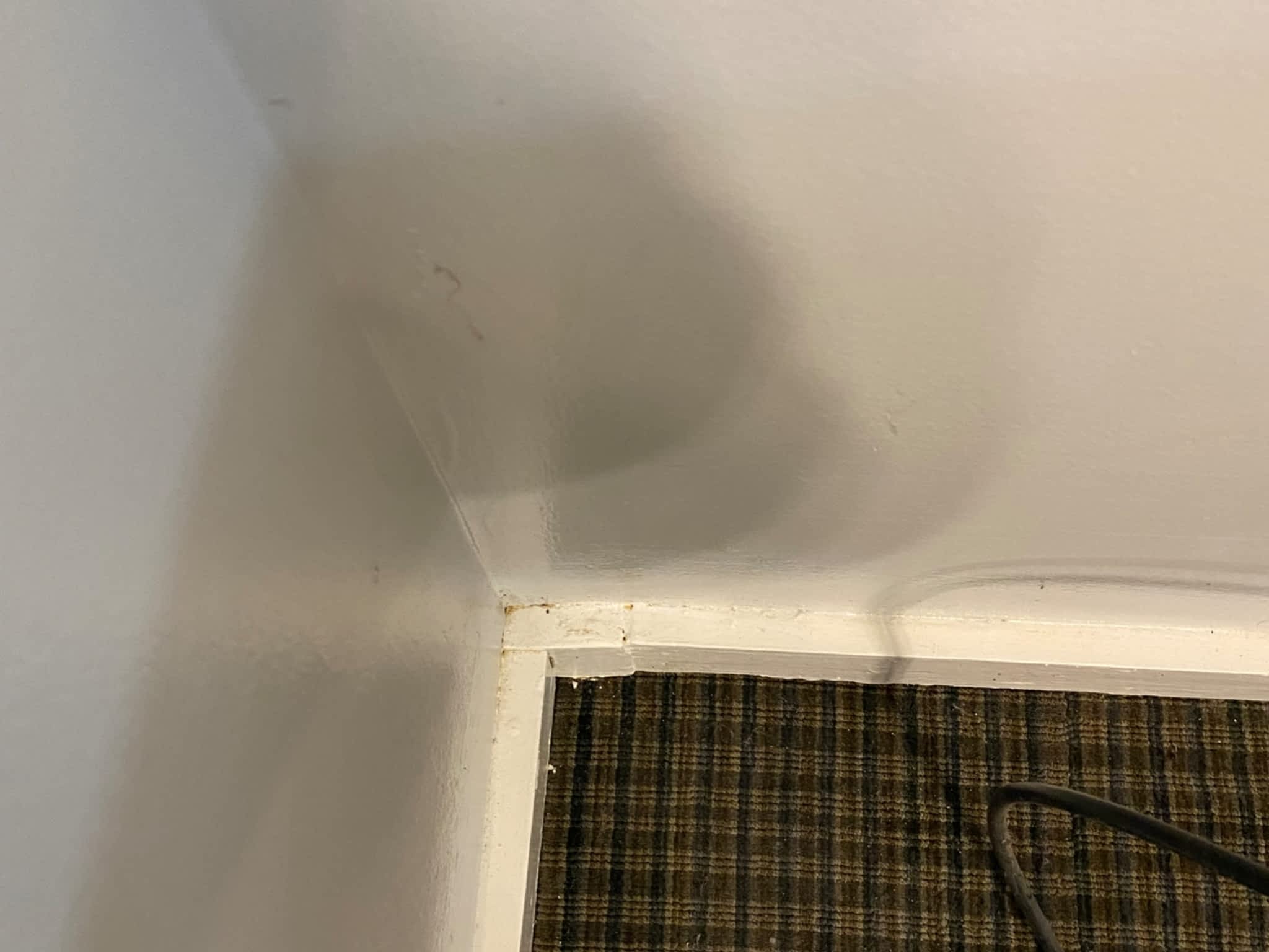 photo Voila Cleaning Services