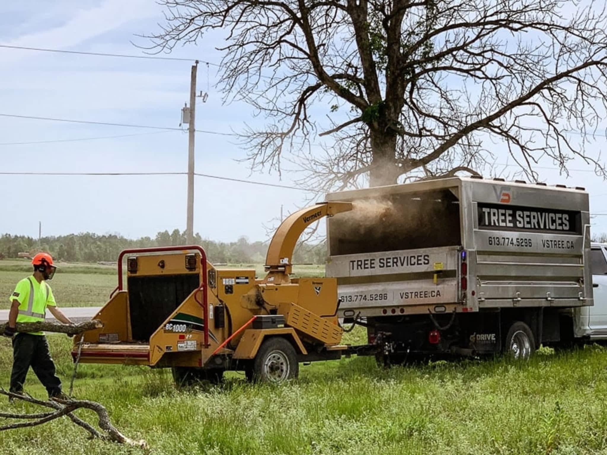 photo VS Tree Services