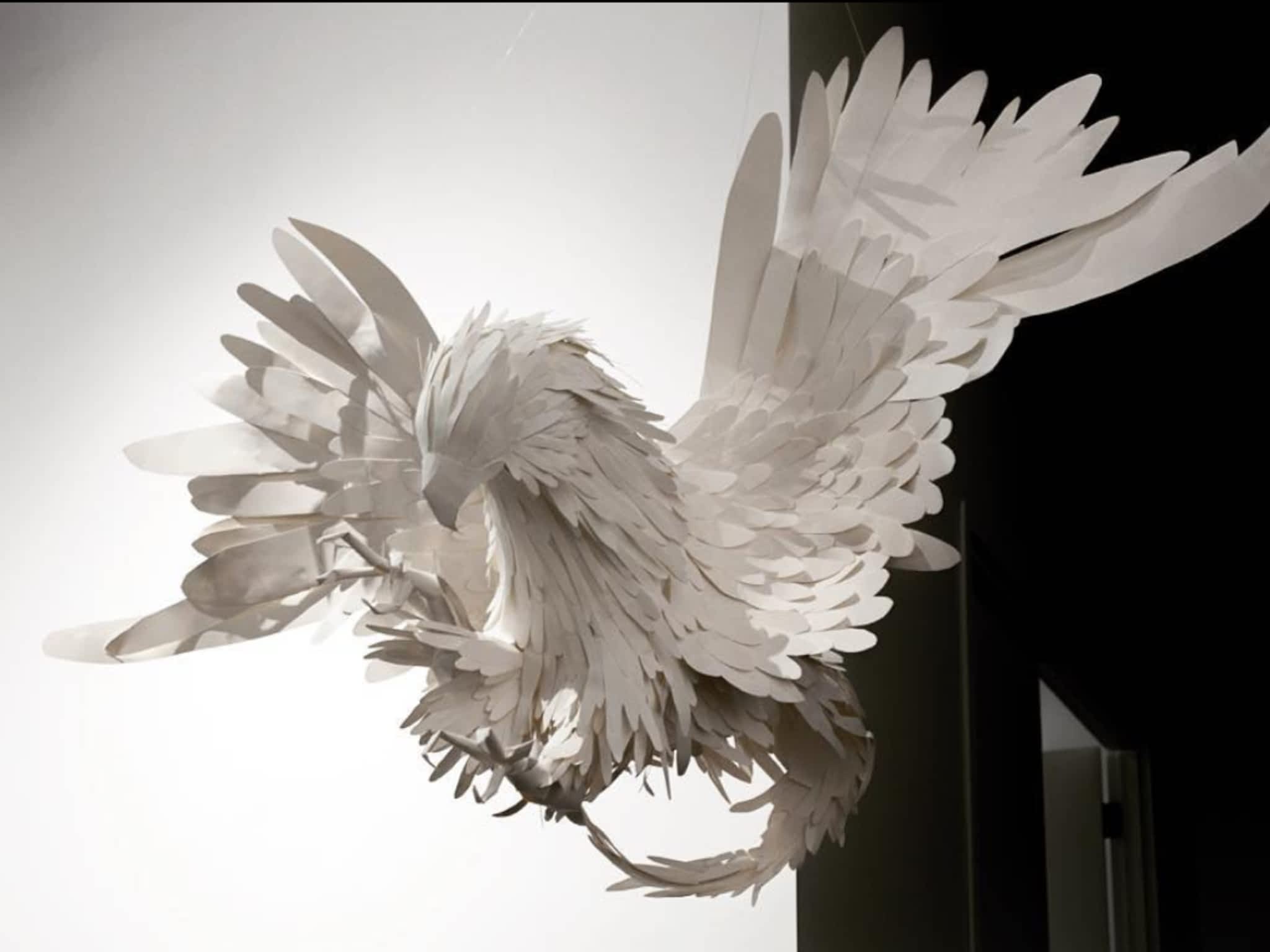 photo Hexagon Studio