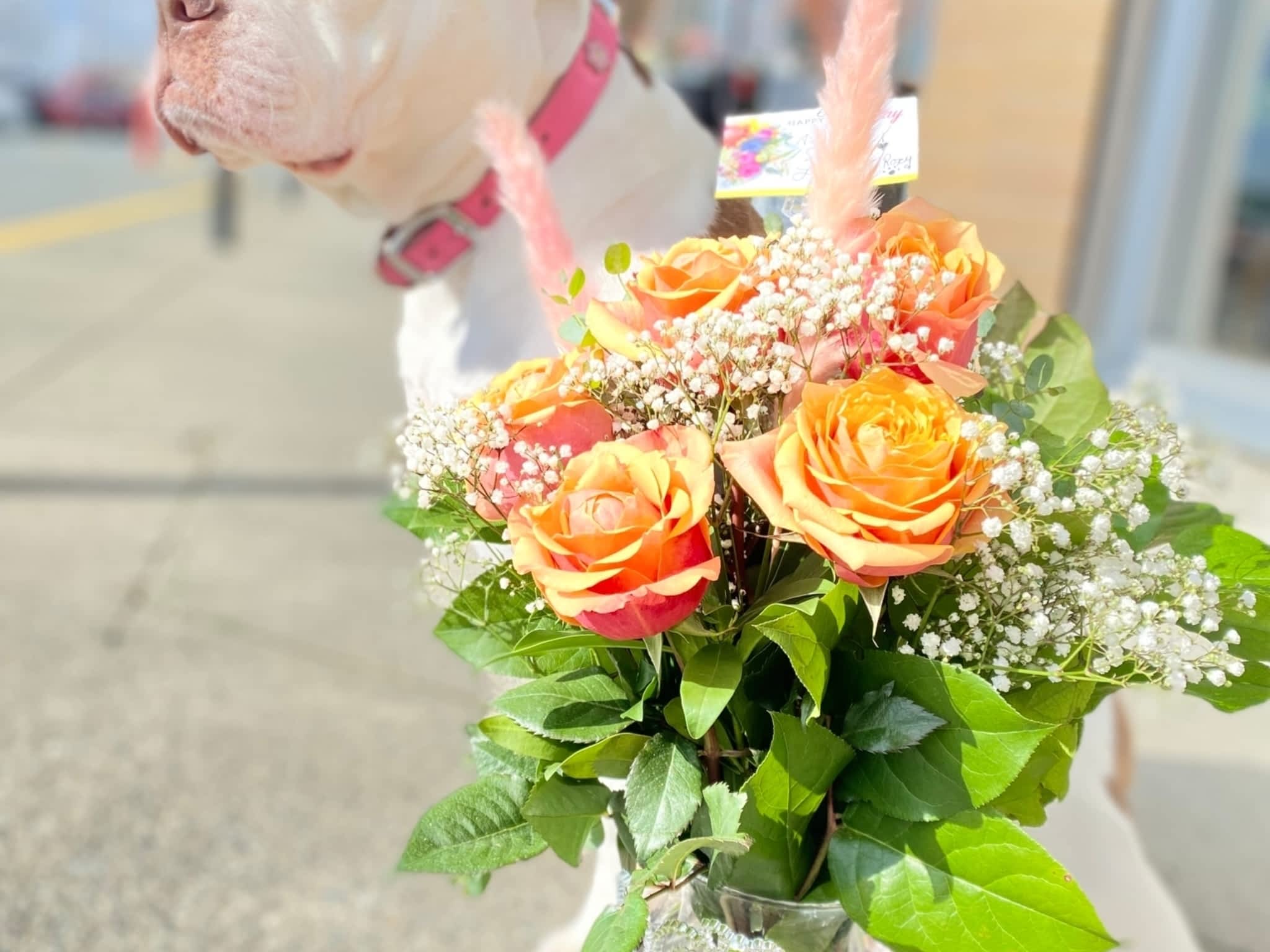 photo Langley-Highland Flower Shop