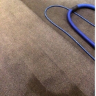 Darelyn Carpet Services - Carpet & Rug Cleaning