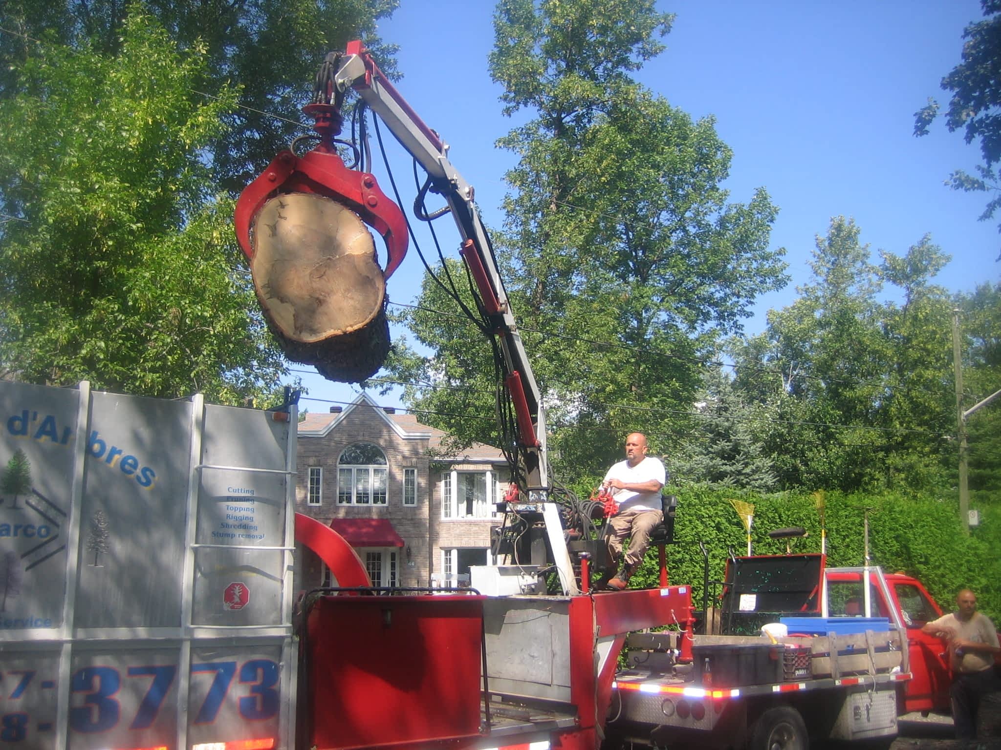 photo Service D'Arbres Marco