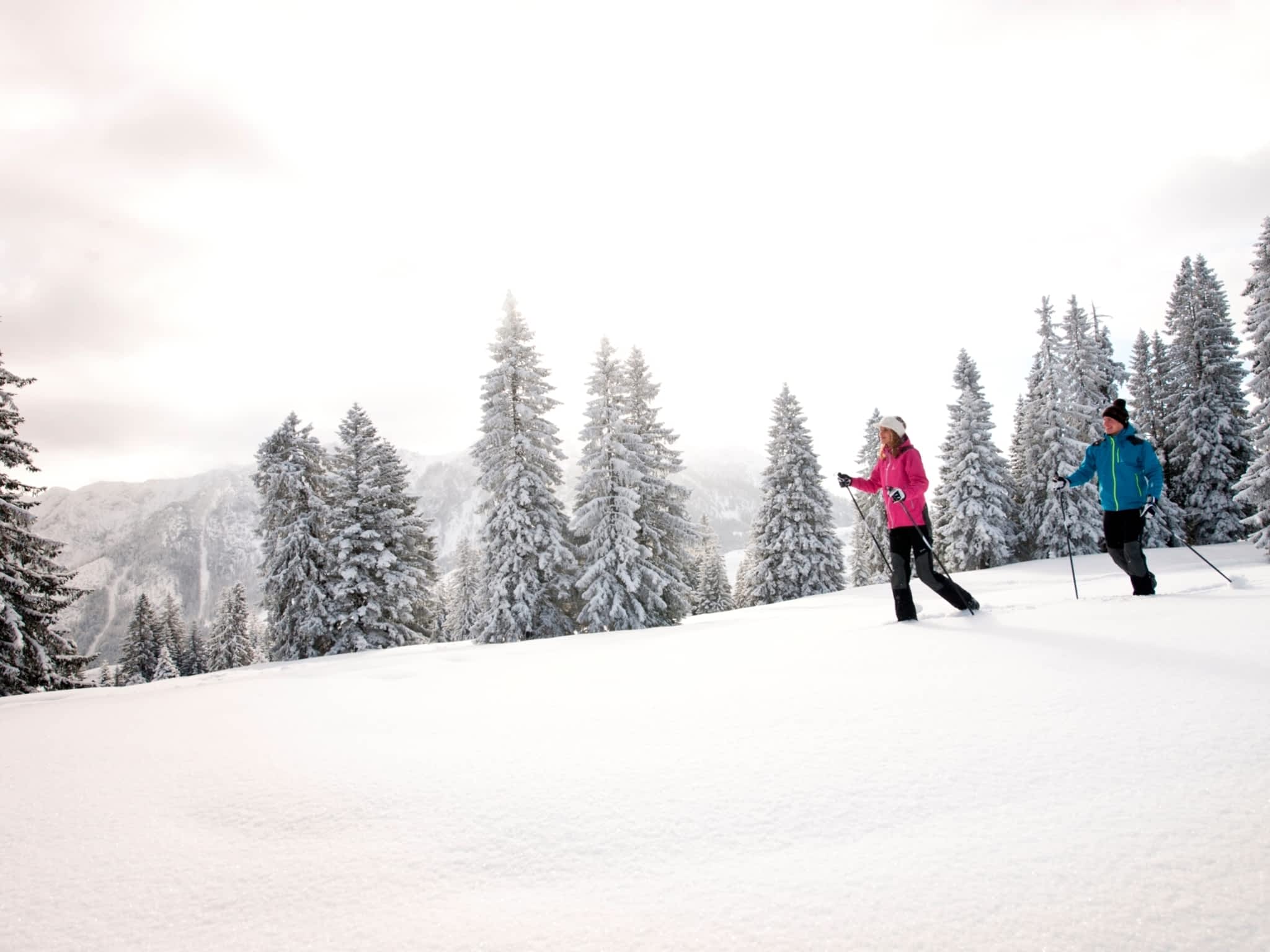 Outfitters' Adventure Gear & Apparel - St John's, NL - 220 Water St