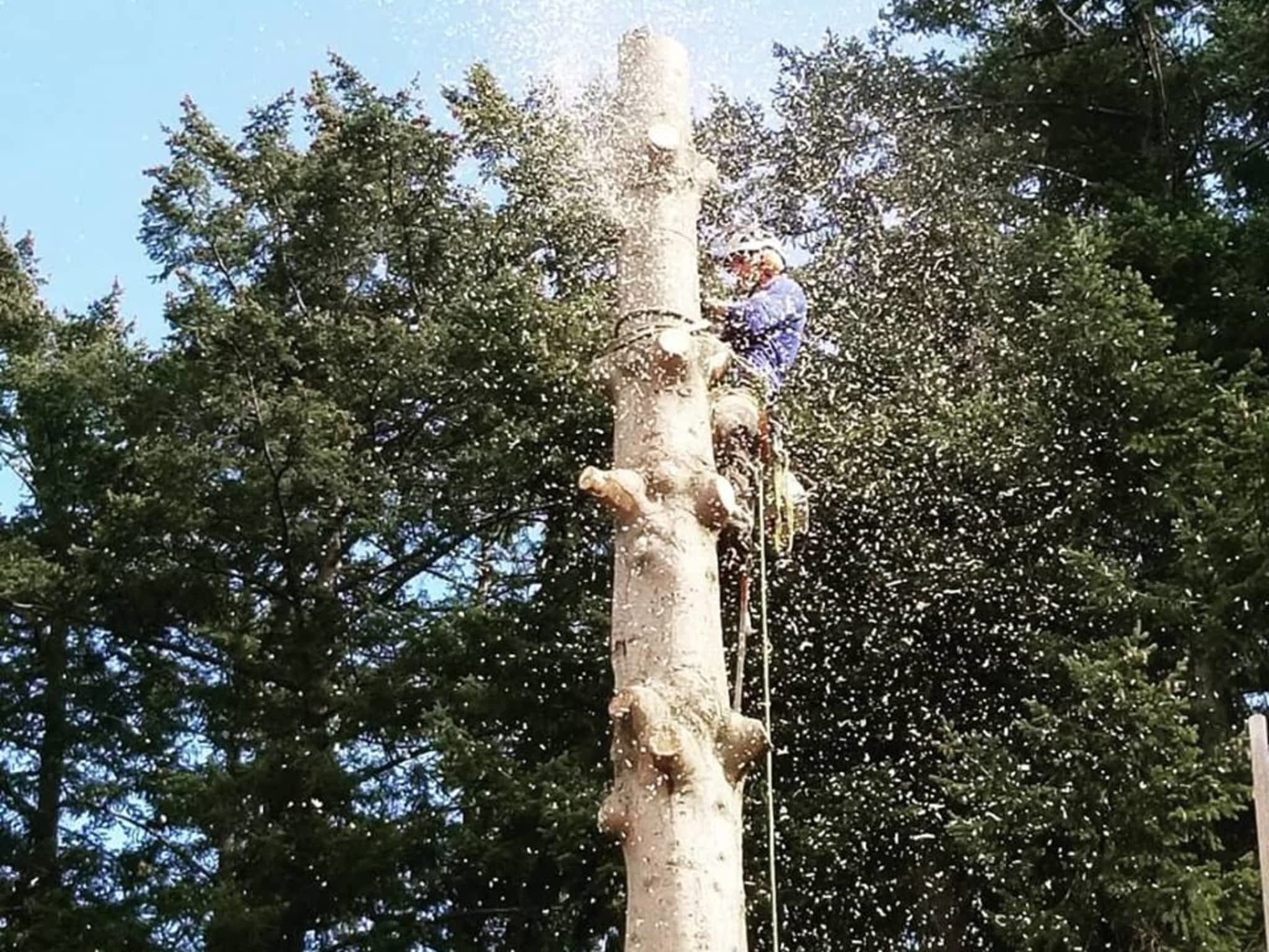 photo Axe Point Tree Services