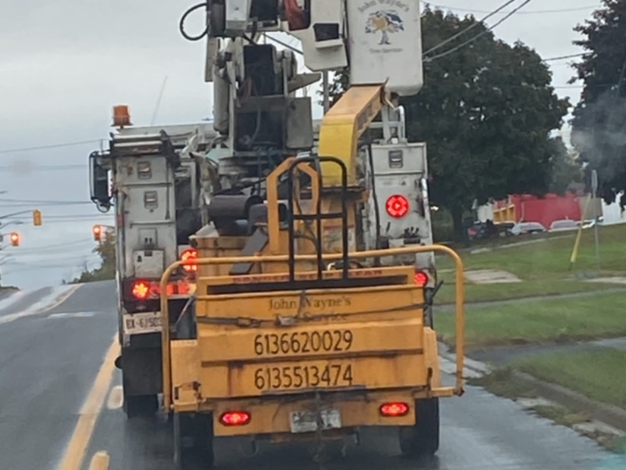 photo John Wayne's Tree Service