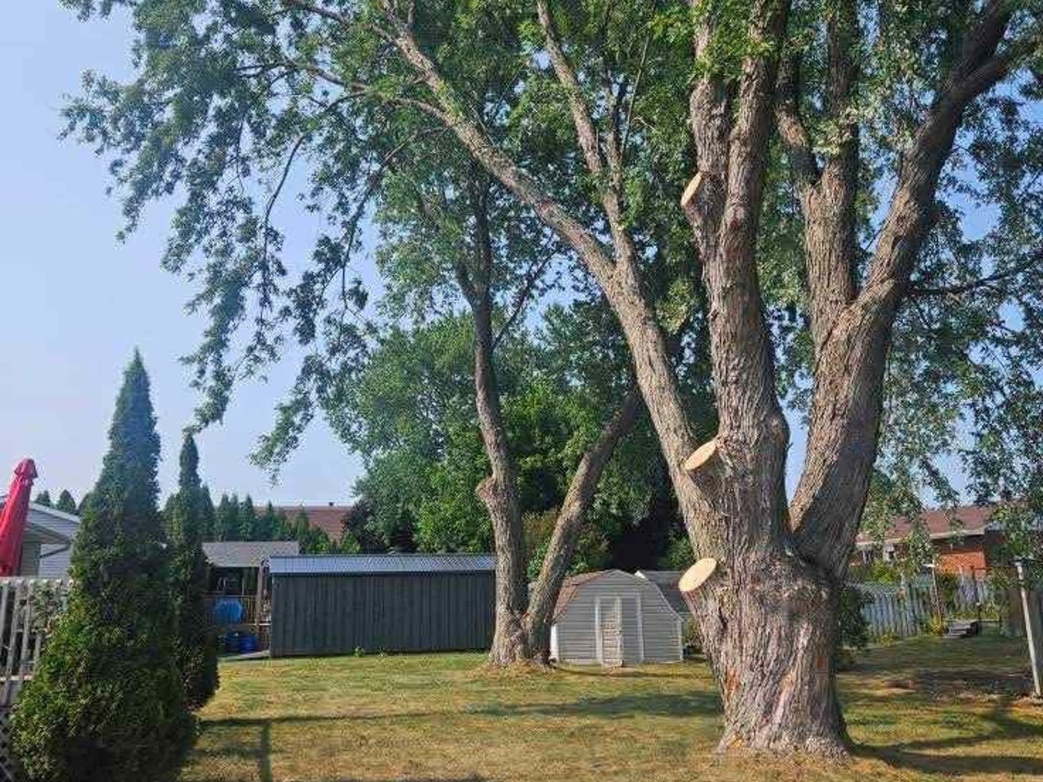 photo John Wayne's Tree Service