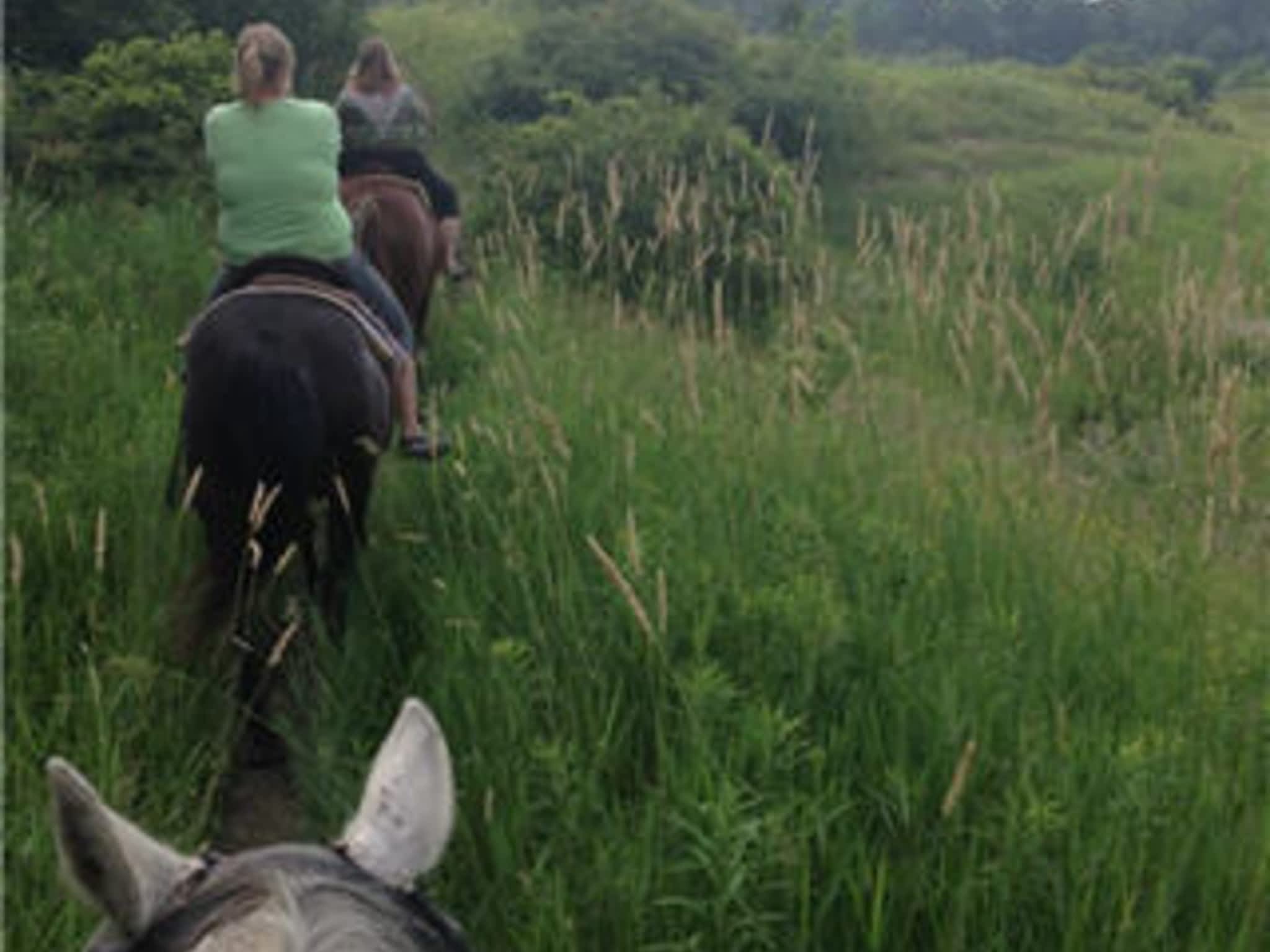 photo Big Creek Stables