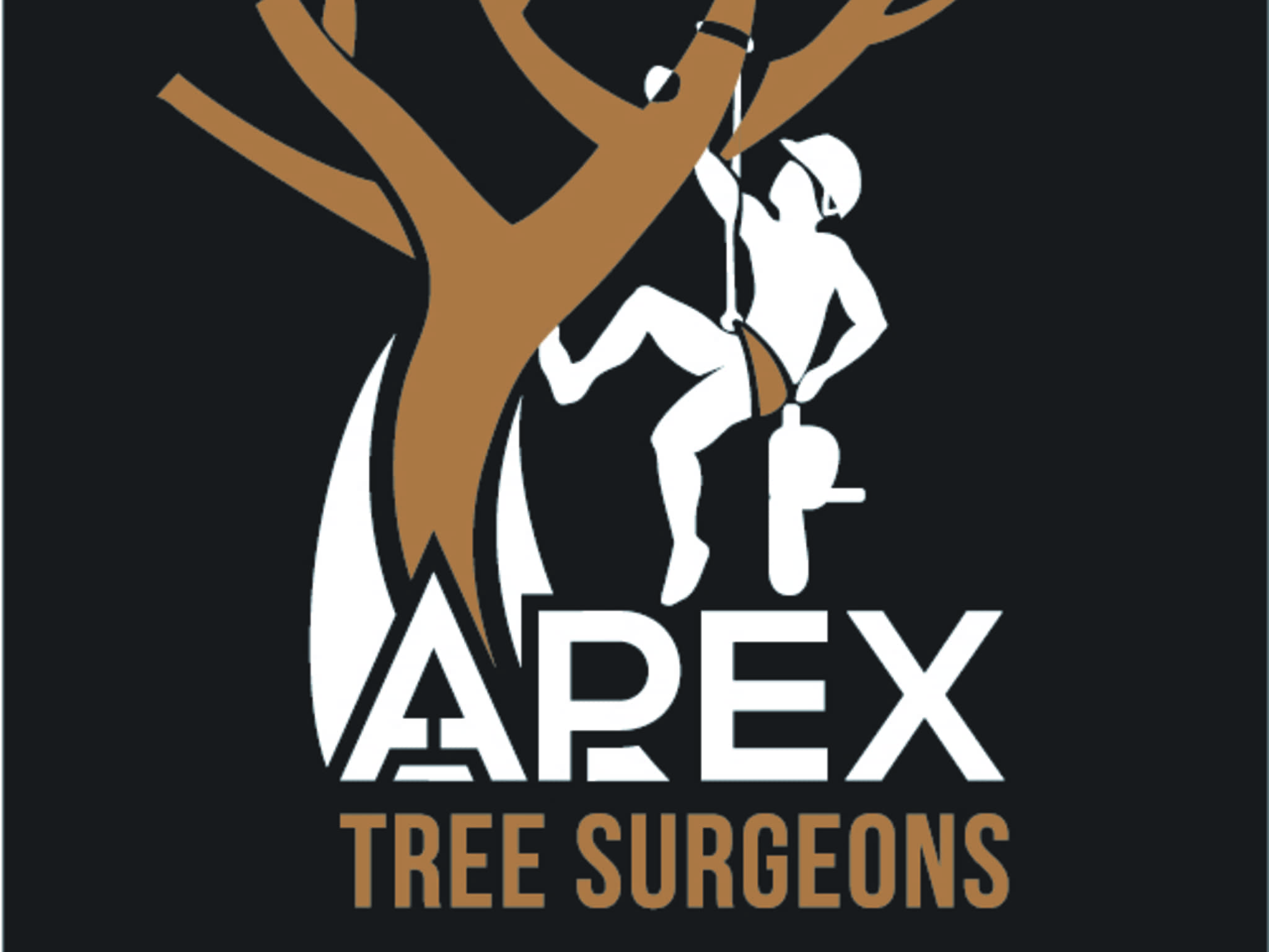 photo Apex Tree Surgeons