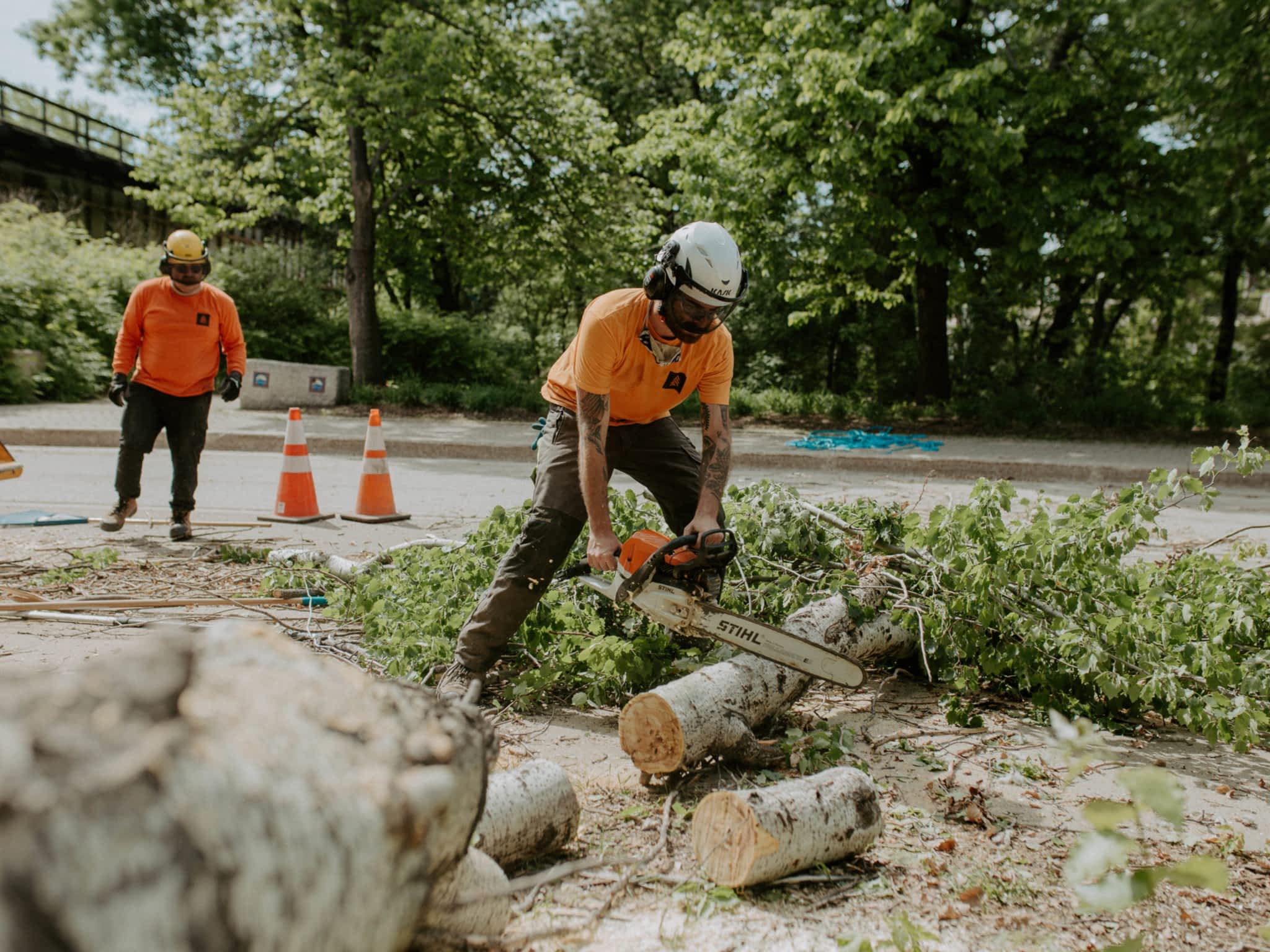 photo Boreal Tree Solutions