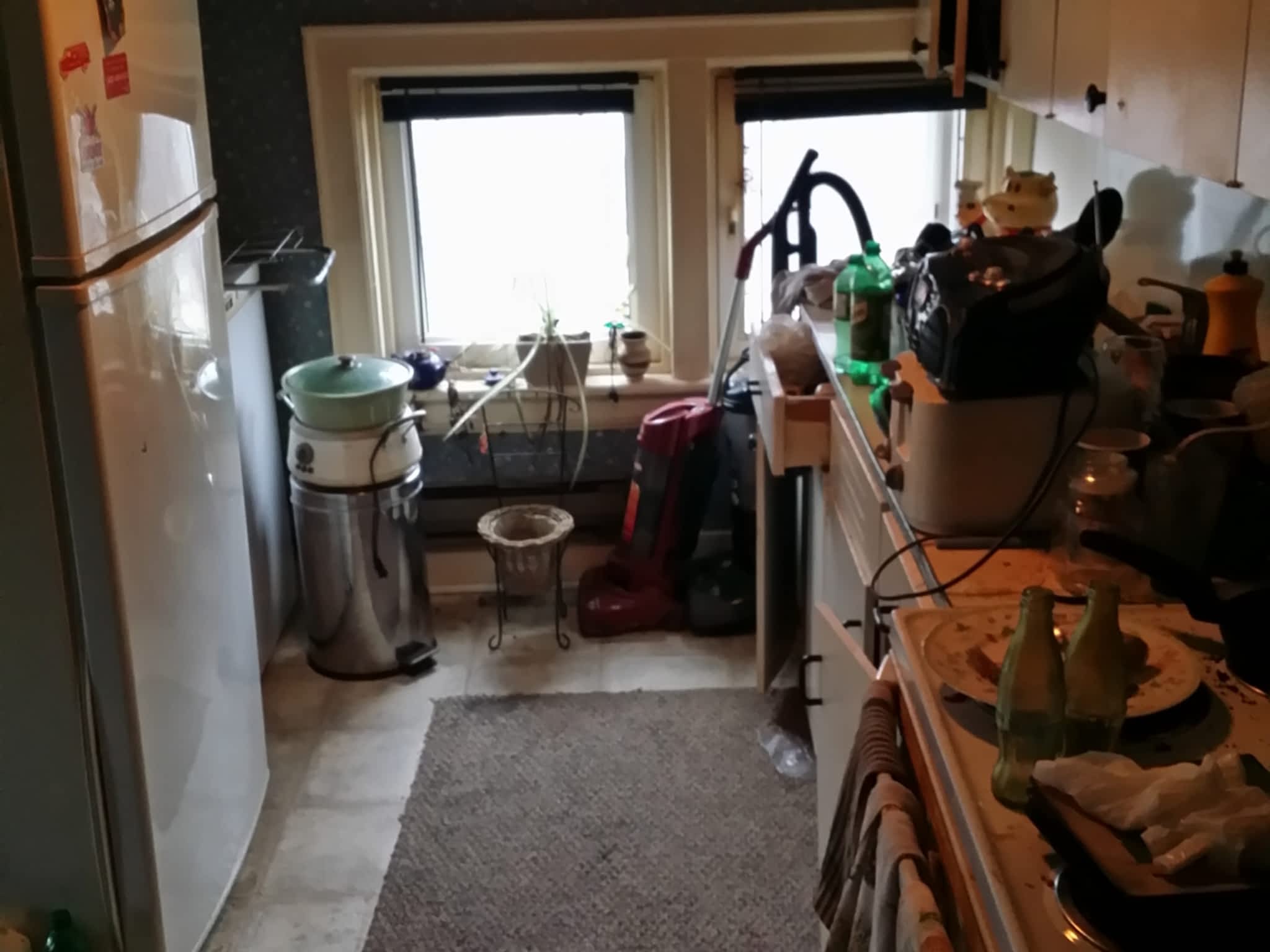 photo Goodbye Junk Cleanup & Bin Rental Services