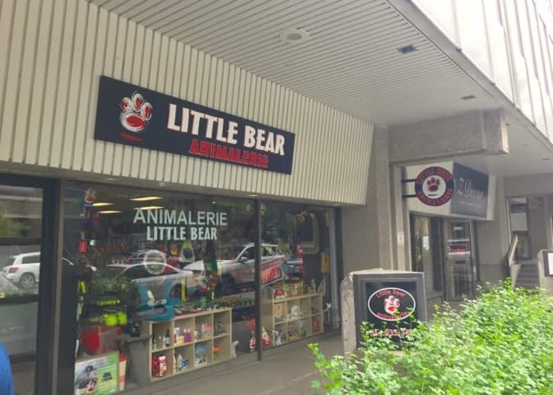 Animalerie Little Bear Opening Hours 4152 rue Sainte