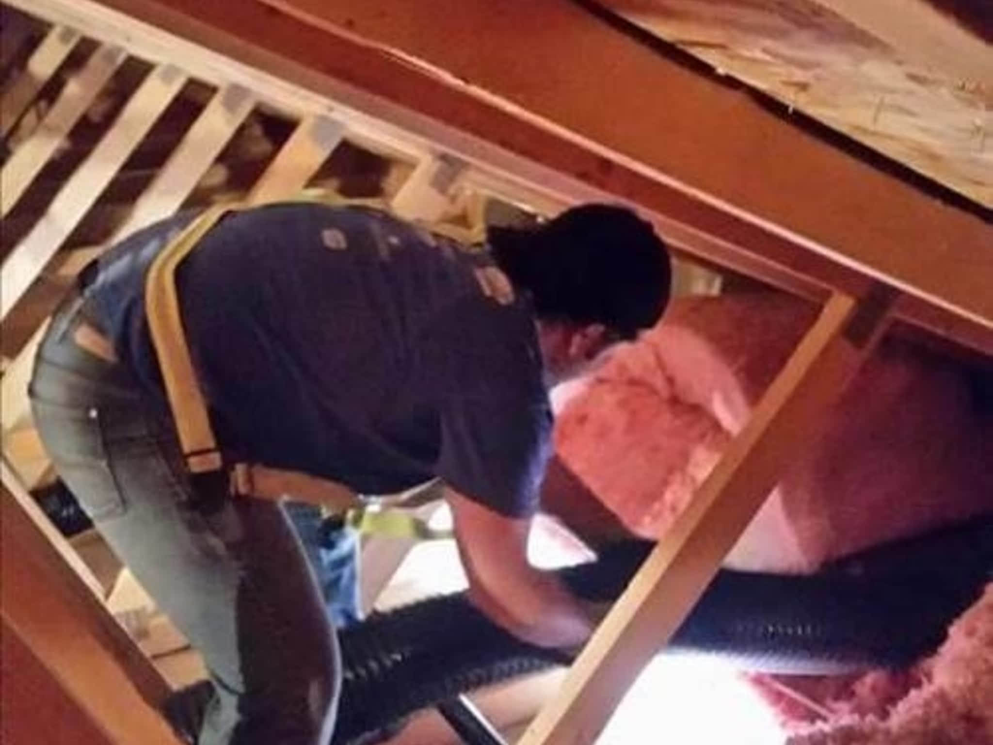 photo Details Insulation