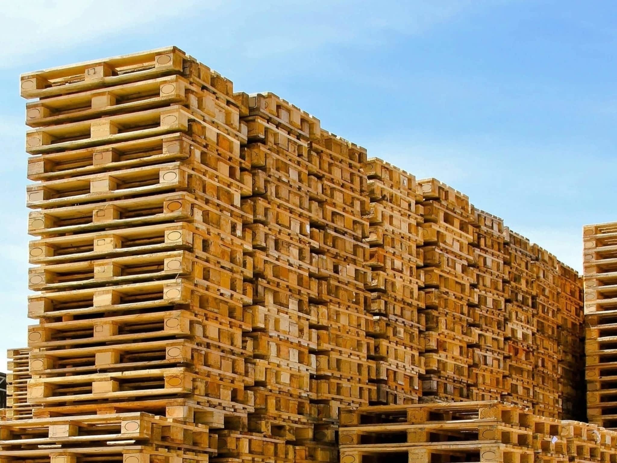 photo All Pallet Inc