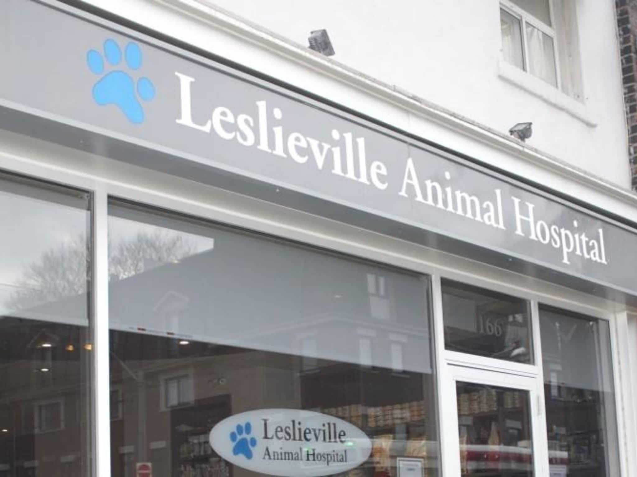 photo Leslieville Animal Hospital