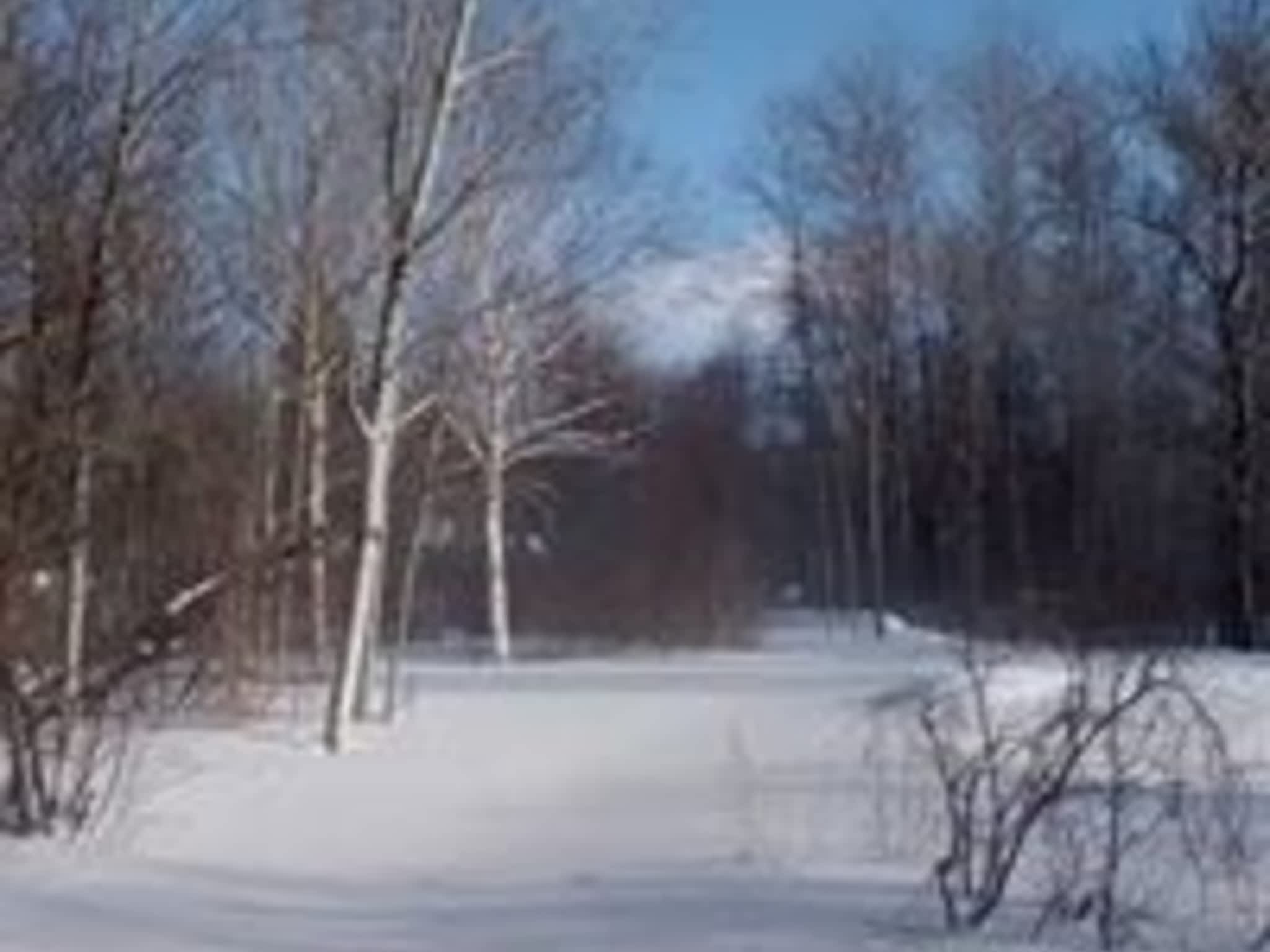 photo JRM excavation